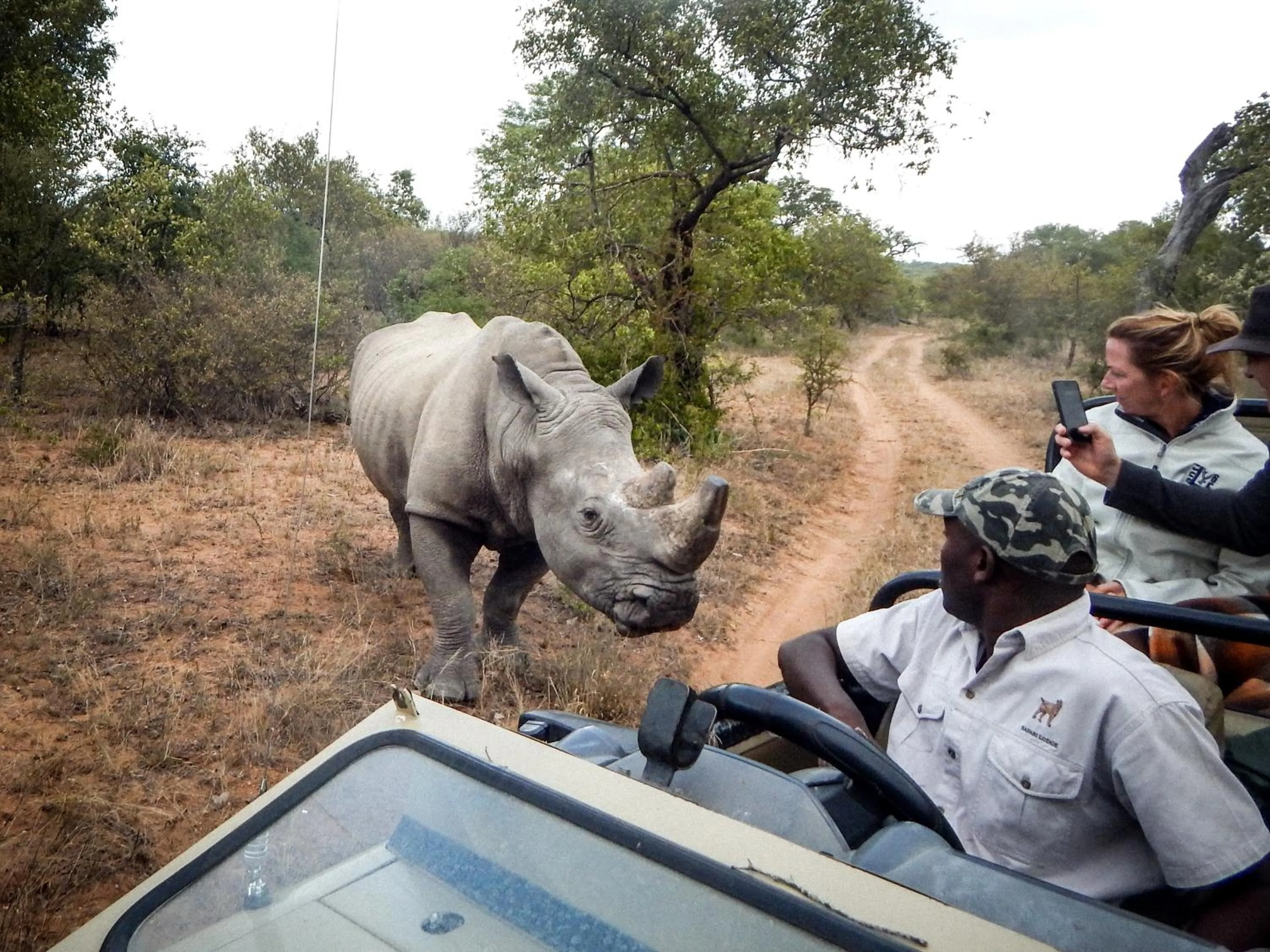 Activities in Vuyani Safari Lodge