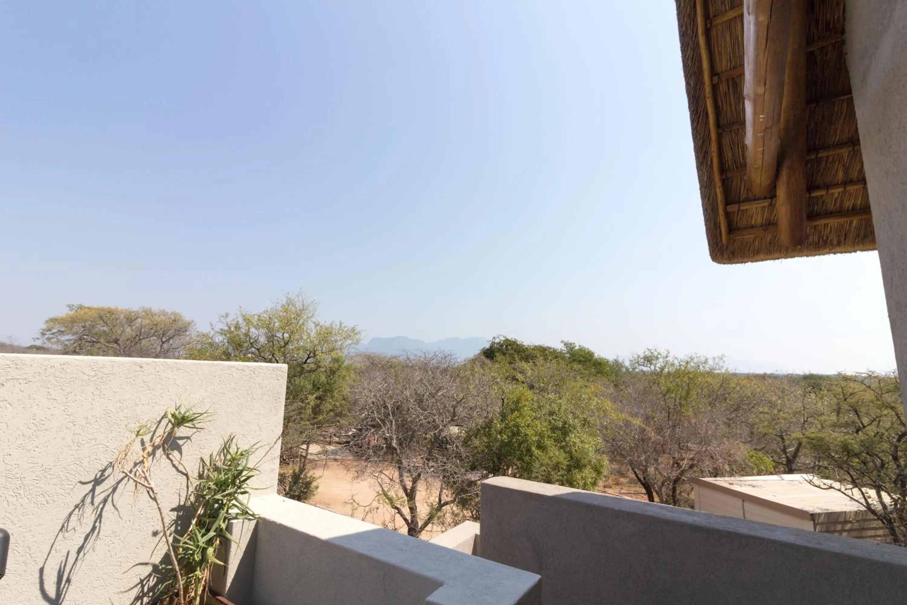 Balcony/Terrace in Vuyani Safari Lodge