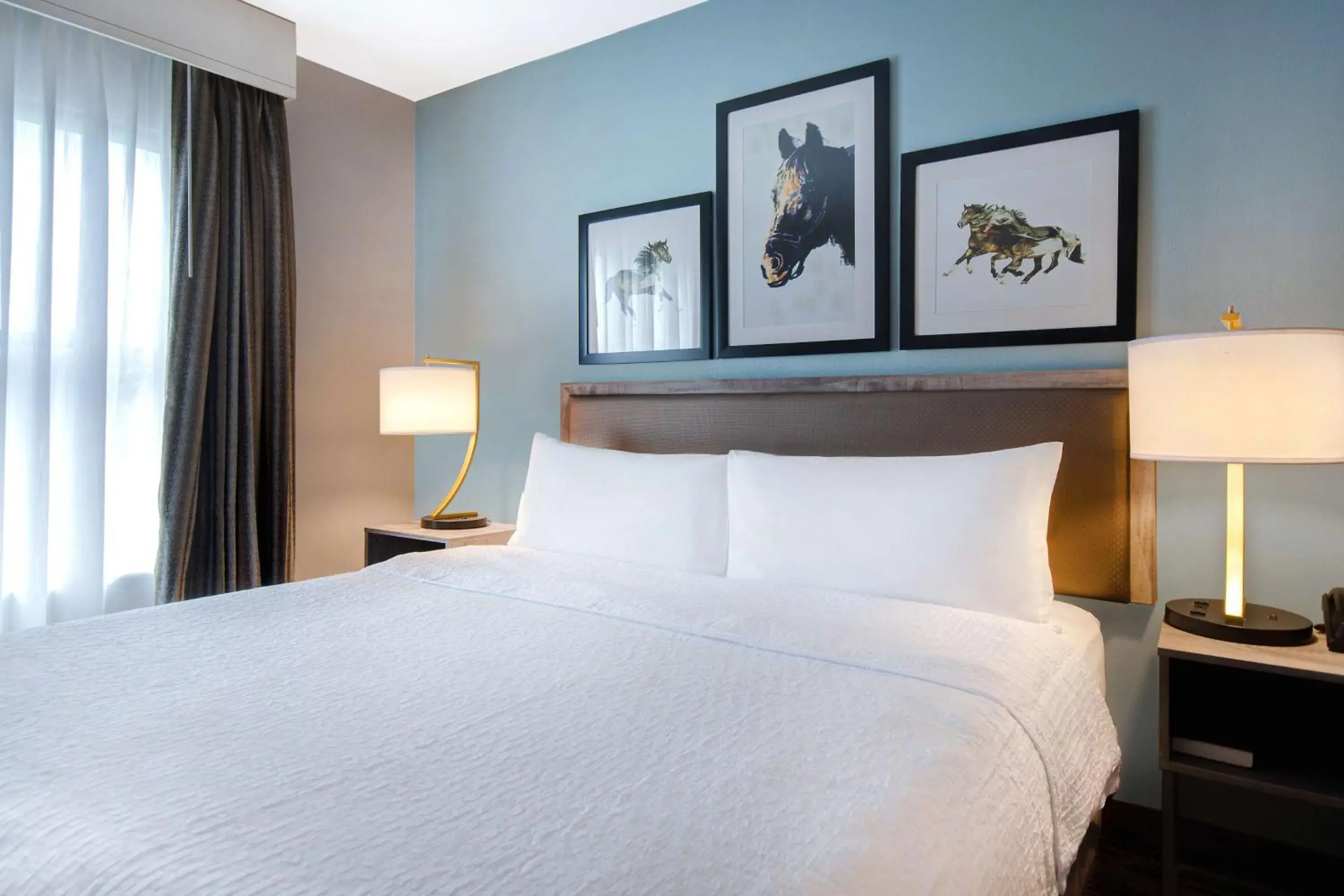 King Studio Suite - Non-Smoking in Homewood Suites by Hilton Lexington-Hamburg King Studio Suite - Non-Smoking in Homewood Suites by Hilton Lexington-Hamburg