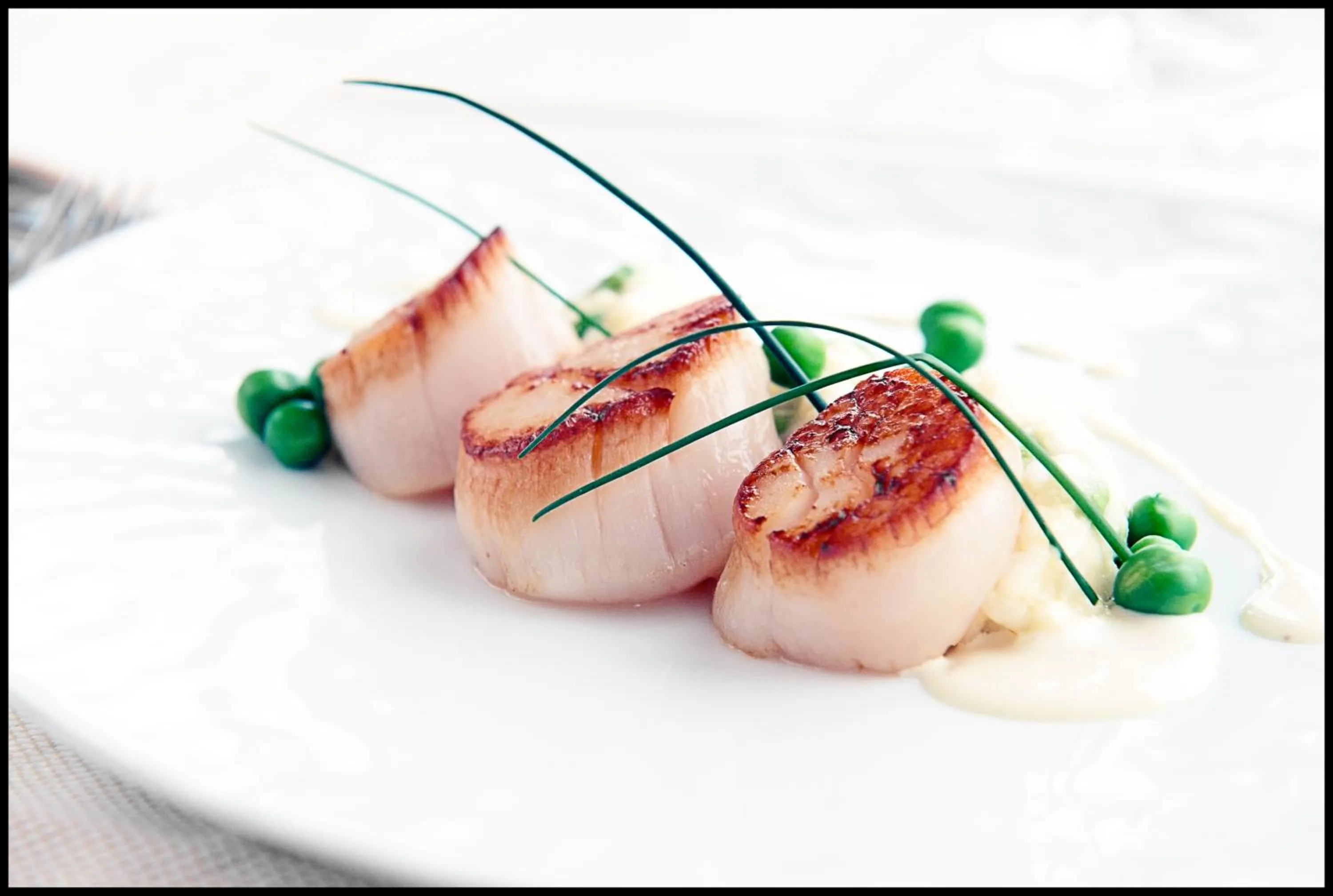 Food and drinks in Hotel Villa Select