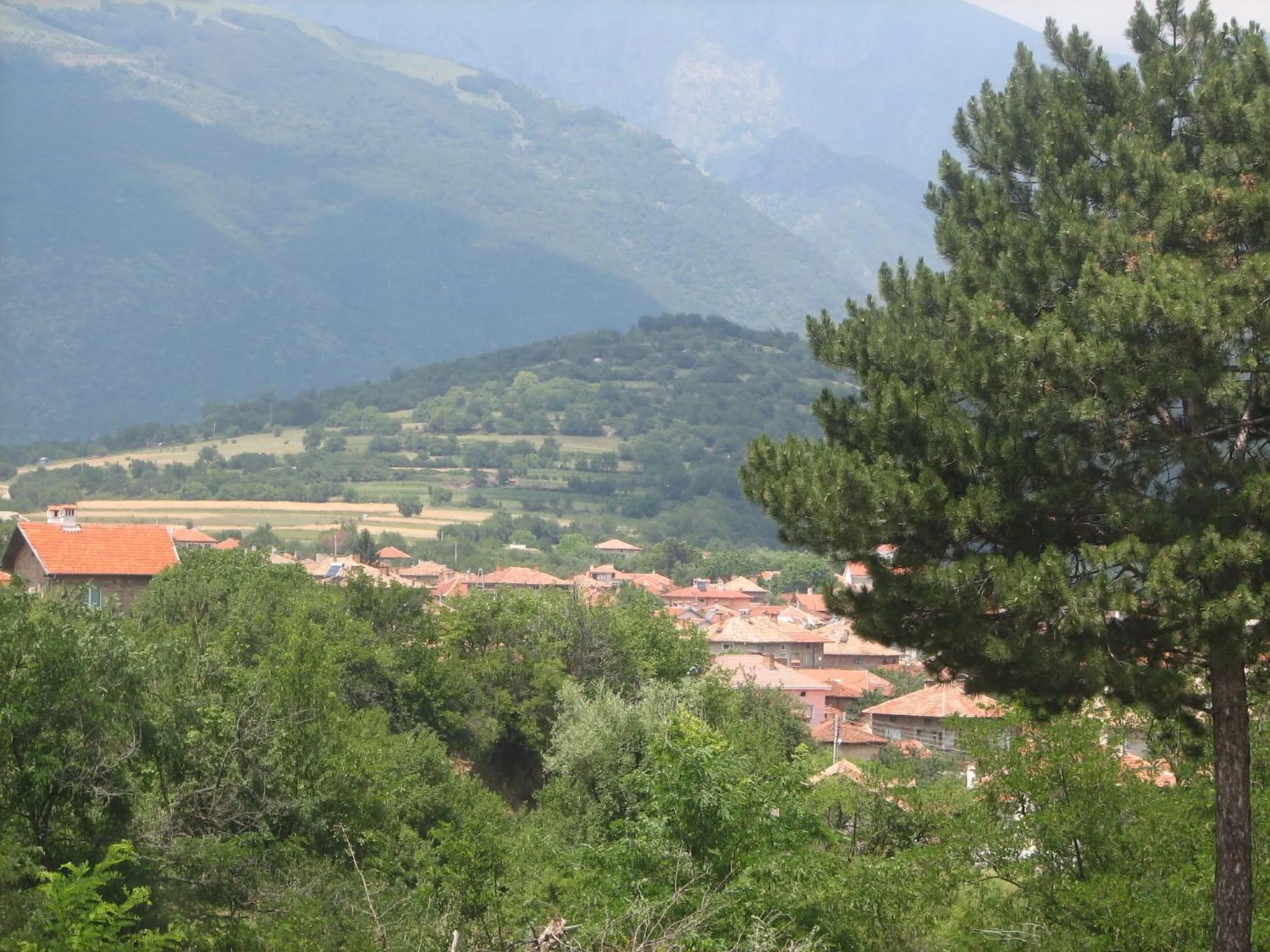 Family Hotel Kalifer