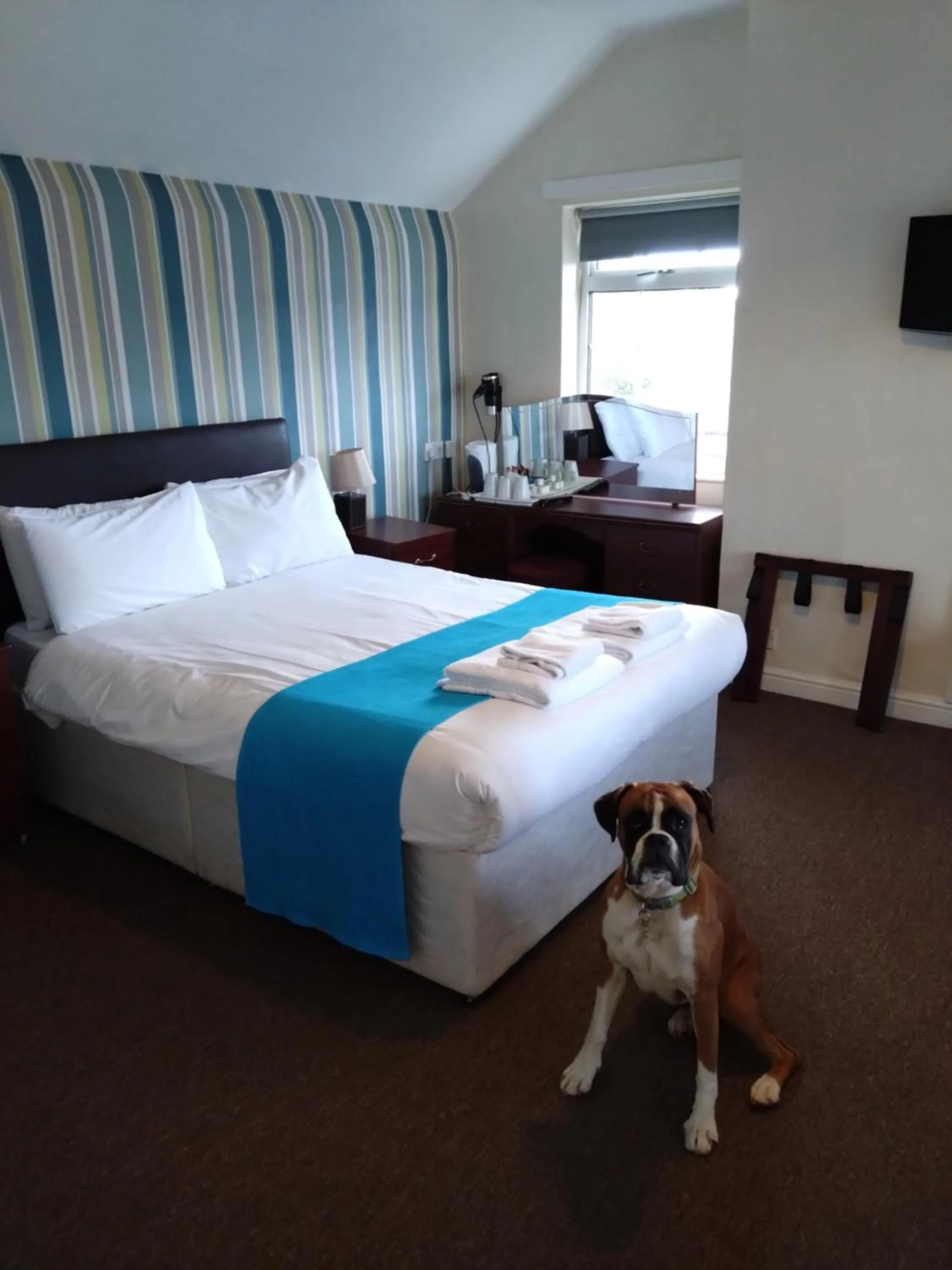Bedroom, Bed in The Hillmorton Manor Hotel