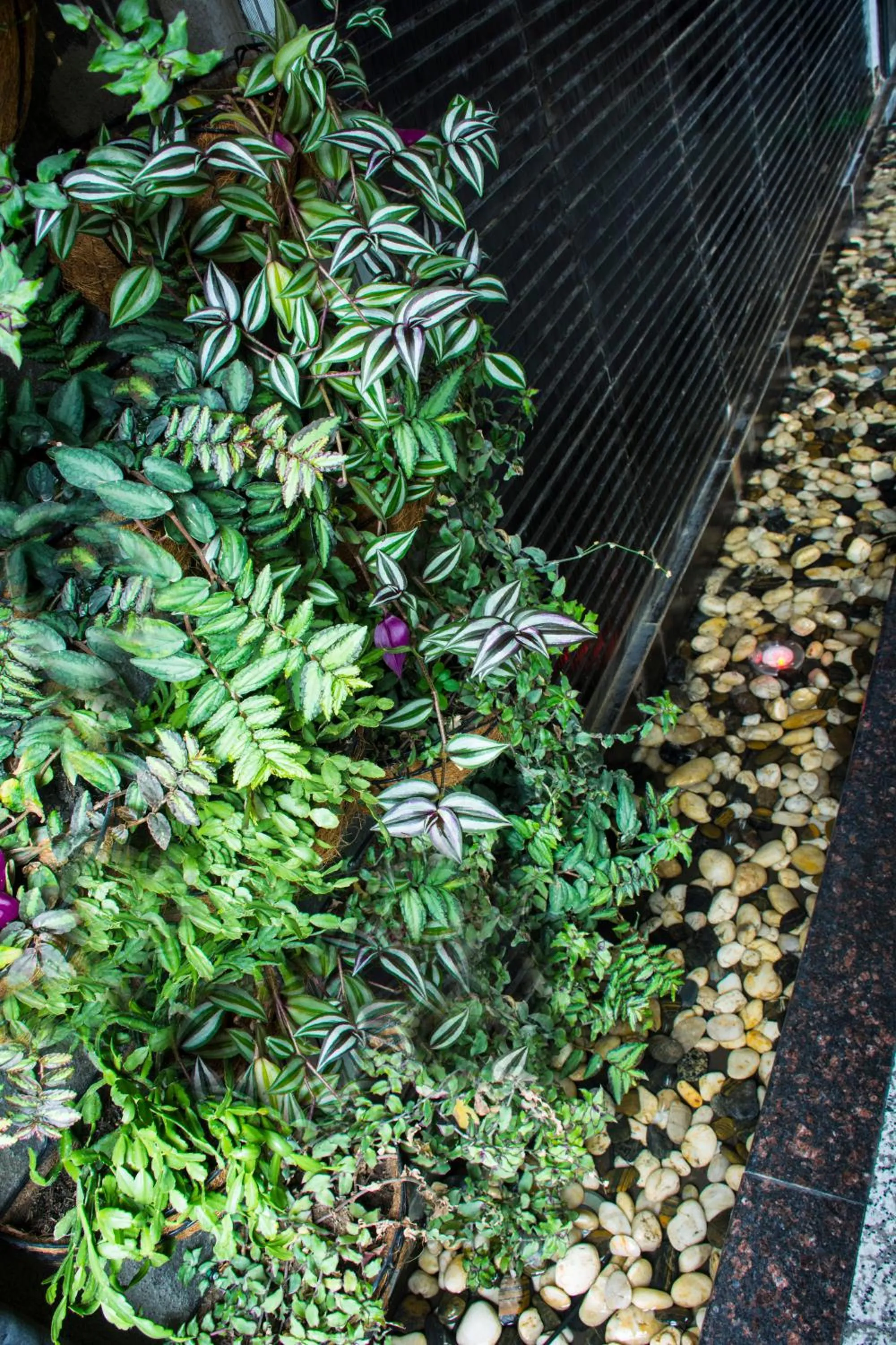 Lobby or reception in Hotel Las Cascadas