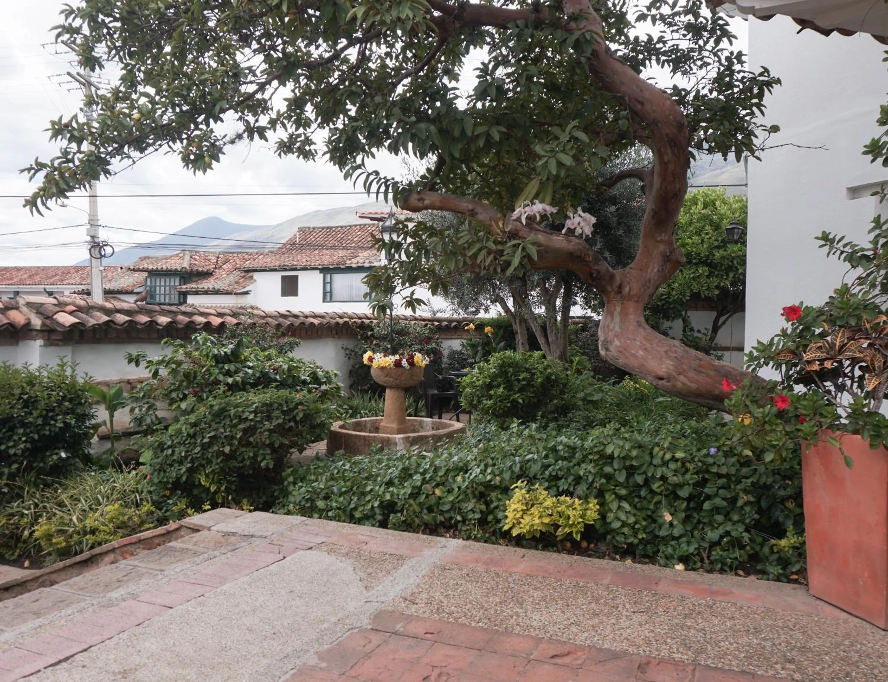Garden in Hotel y Spa Getsemani