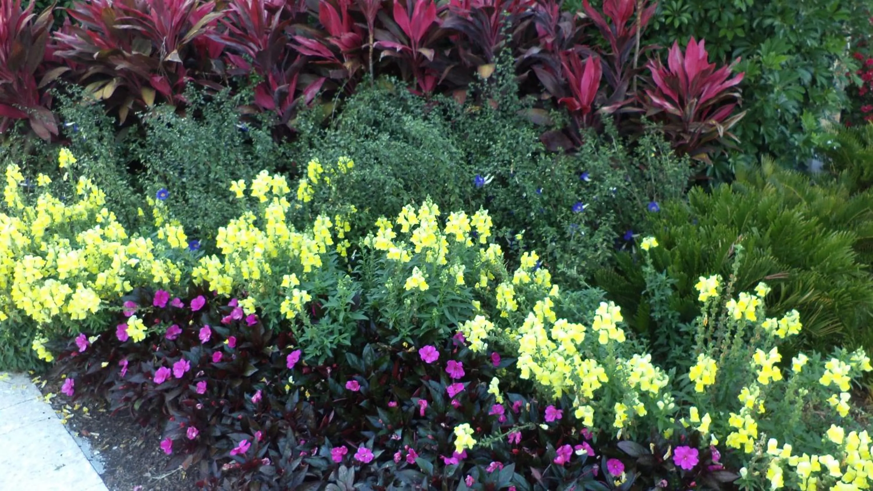Decorative detail in Glades Motel - Naples
