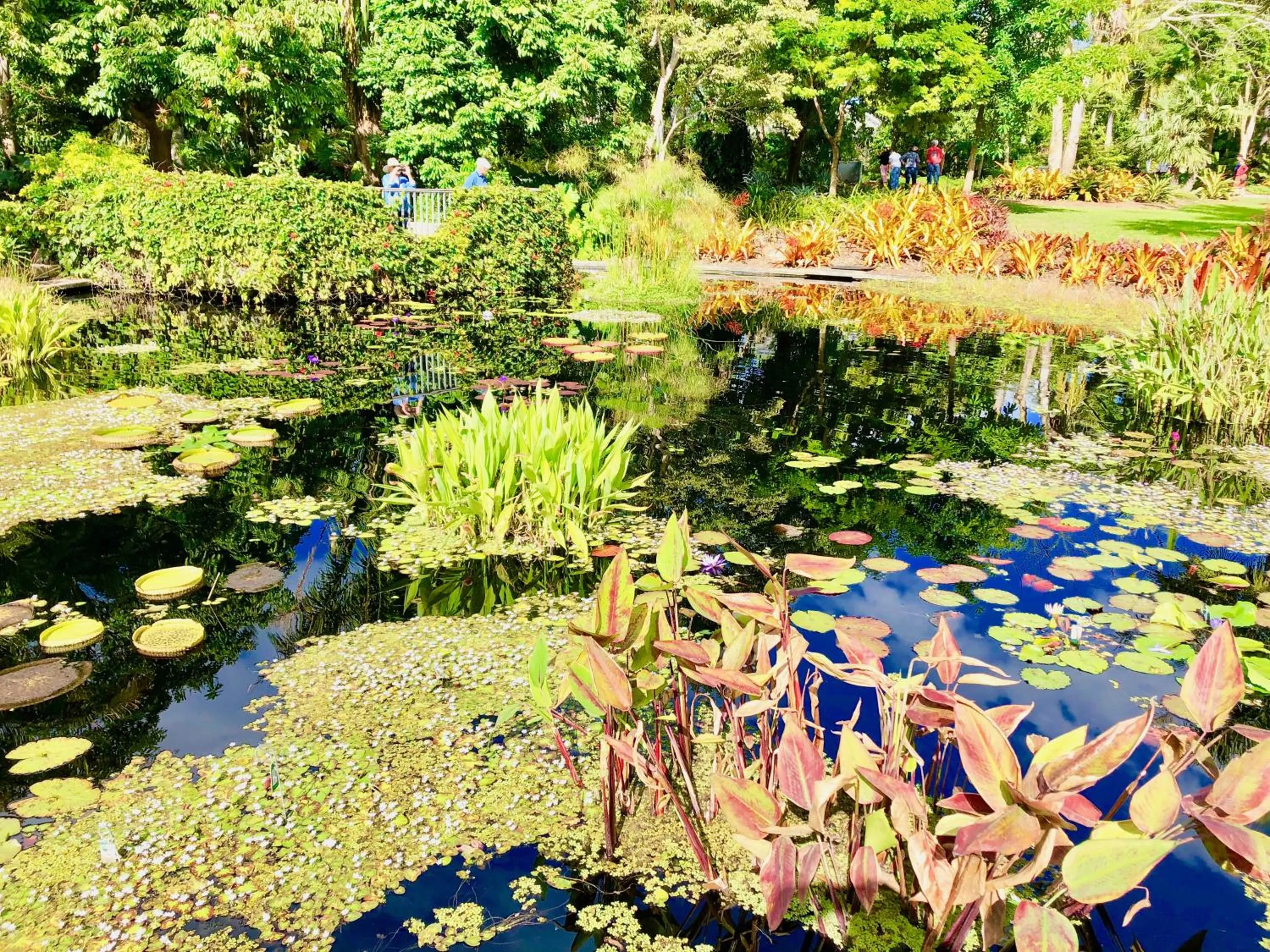 Other in Glades Motel - Naples