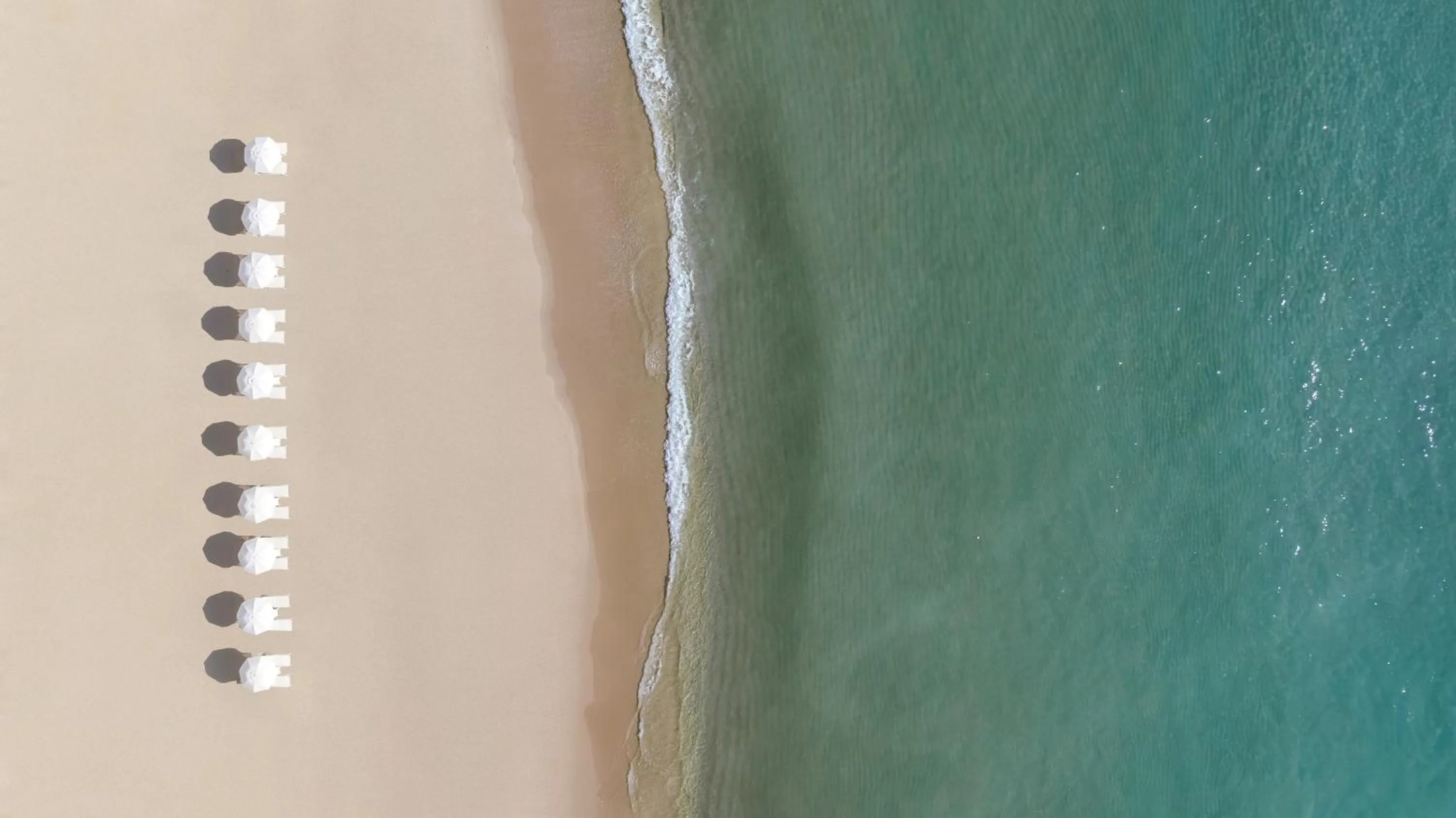 Beach in Trump International Beach Resort - Sunny Isles Beach