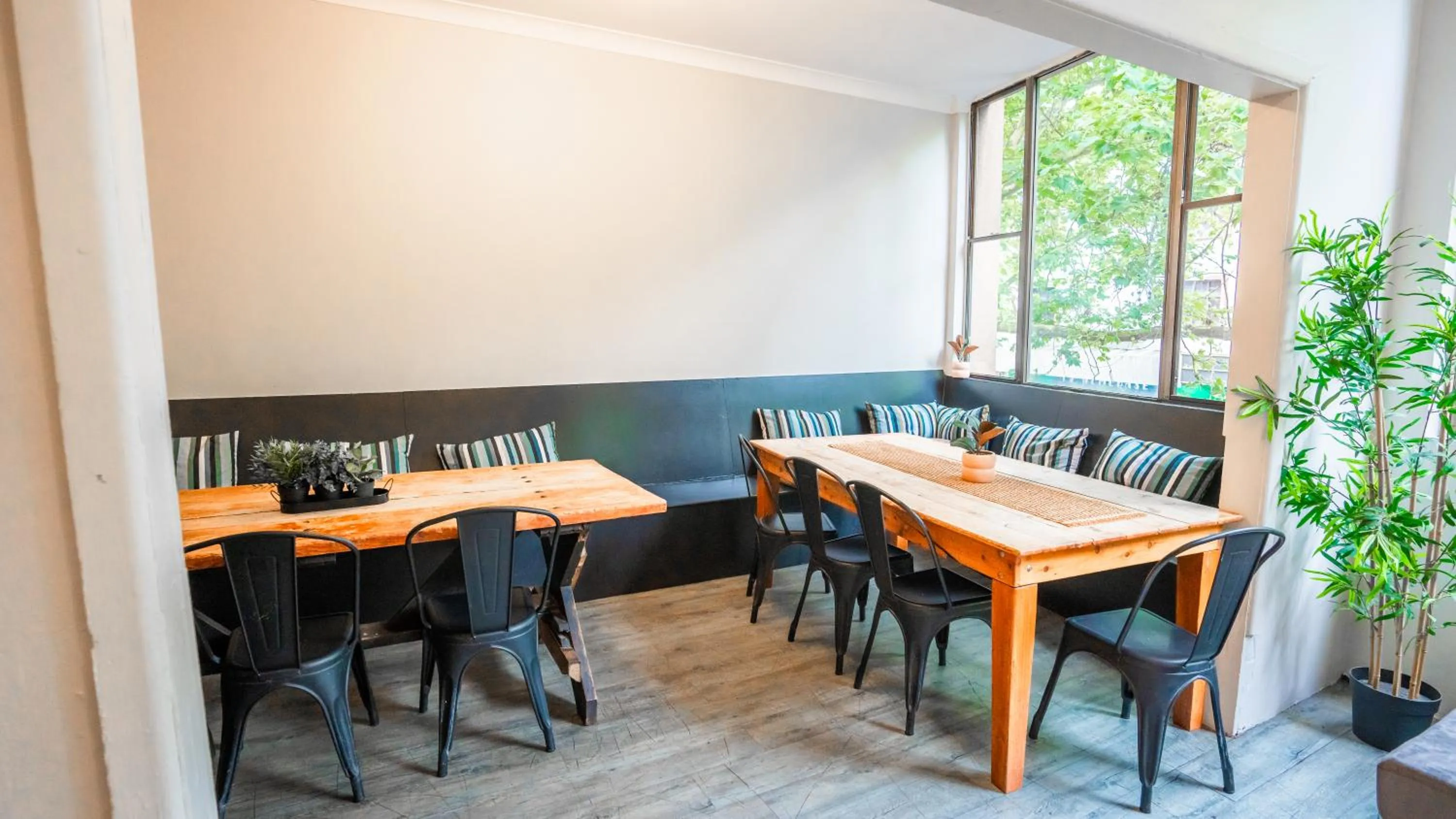 Living room in Mad Monkey East Side