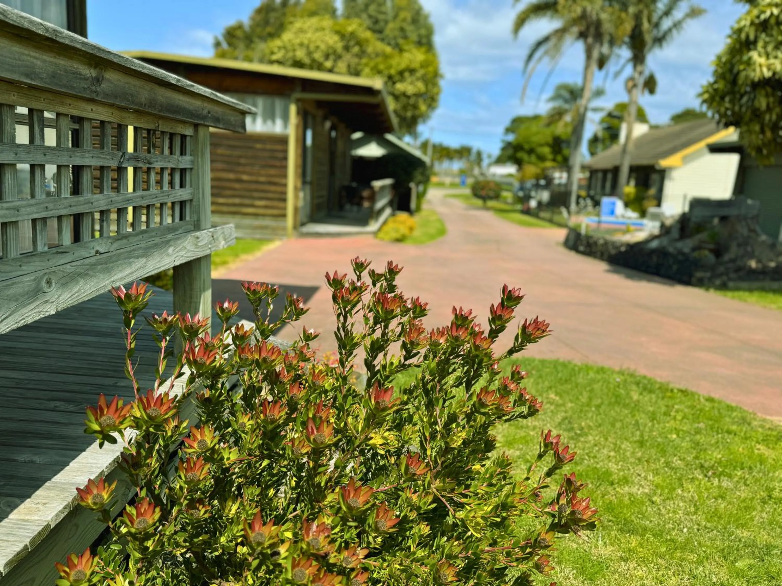 Property building in Lazy Acre Log Cabins