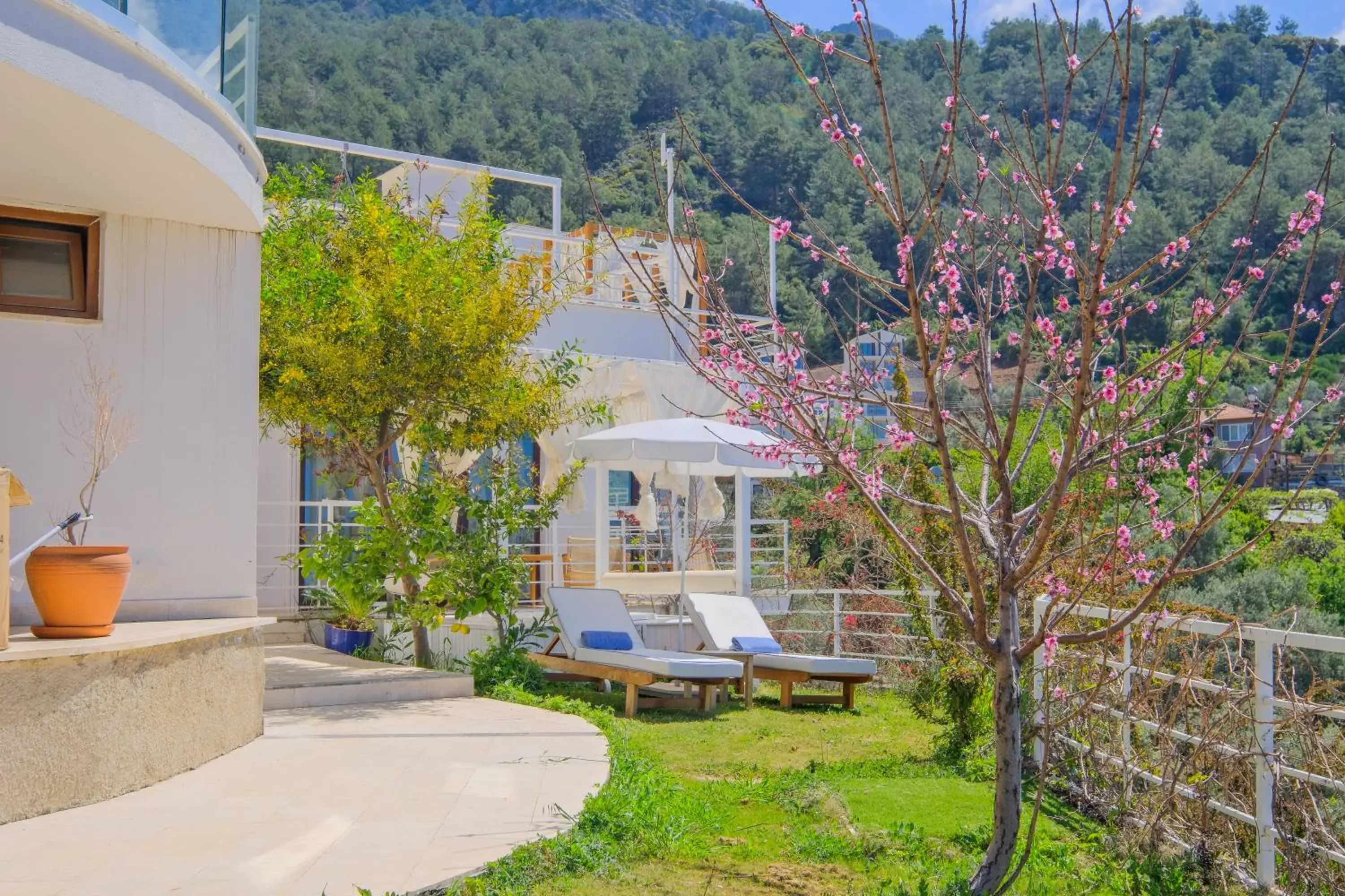 Garden view in Highclere Hotel and Spa Garden view in Highclere Hotel and Spa
