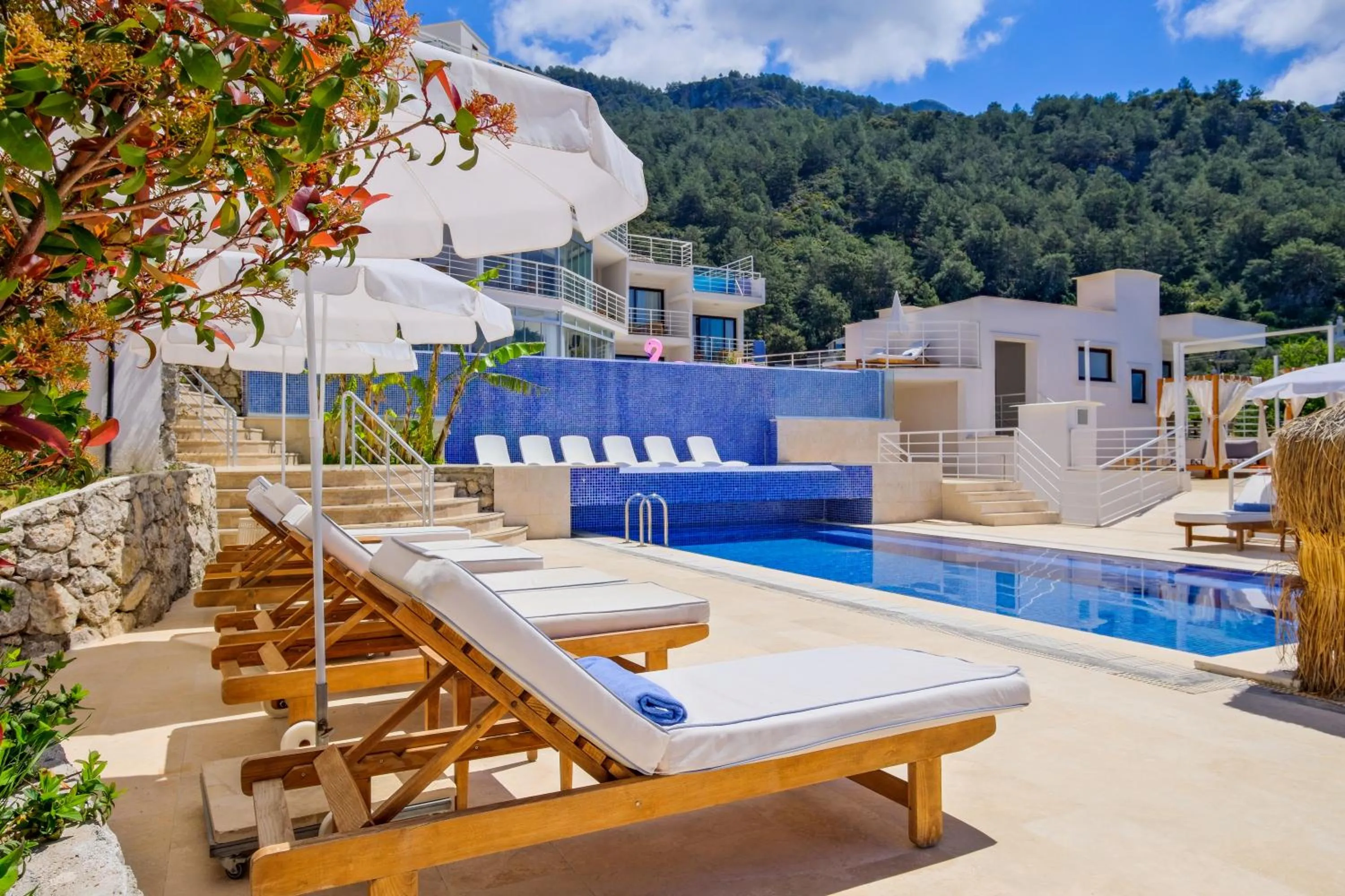 Natural landscape in Highclere Hotel and Spa