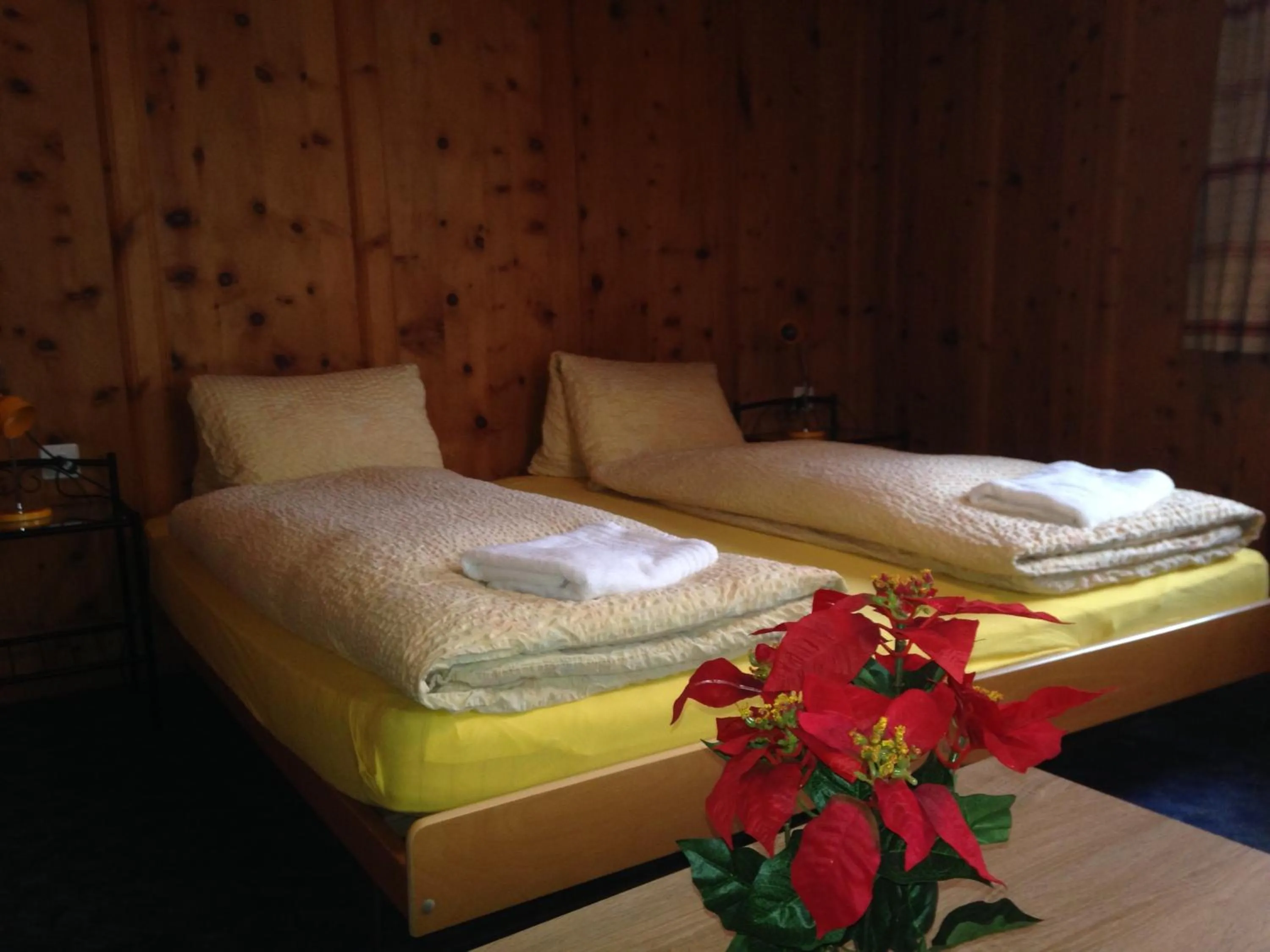 Bed in B&B Hotel & Appartements Chasa Valär