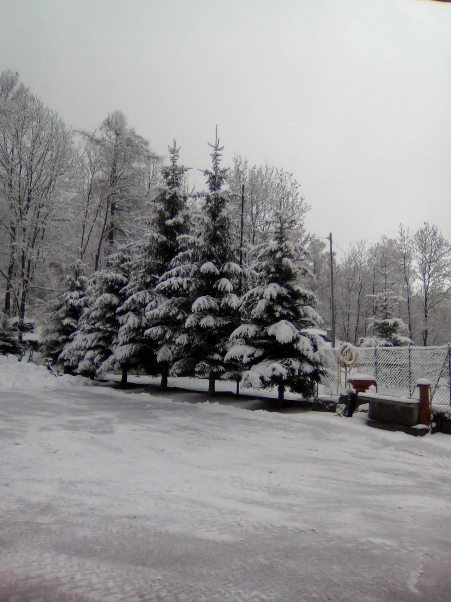 Garden in Hotel Fior di Roccia