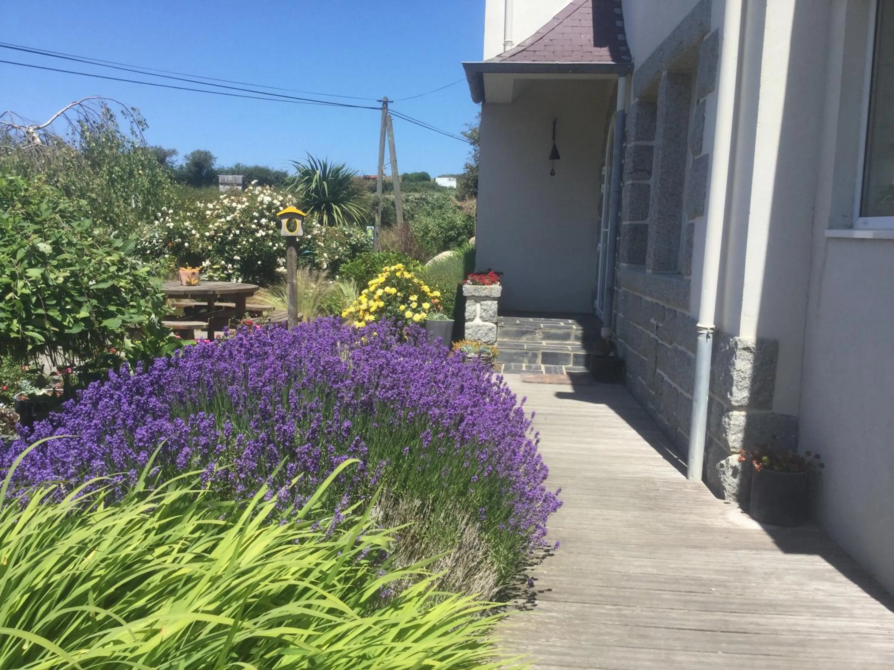 Garden in Les Chambres de Kermenguy