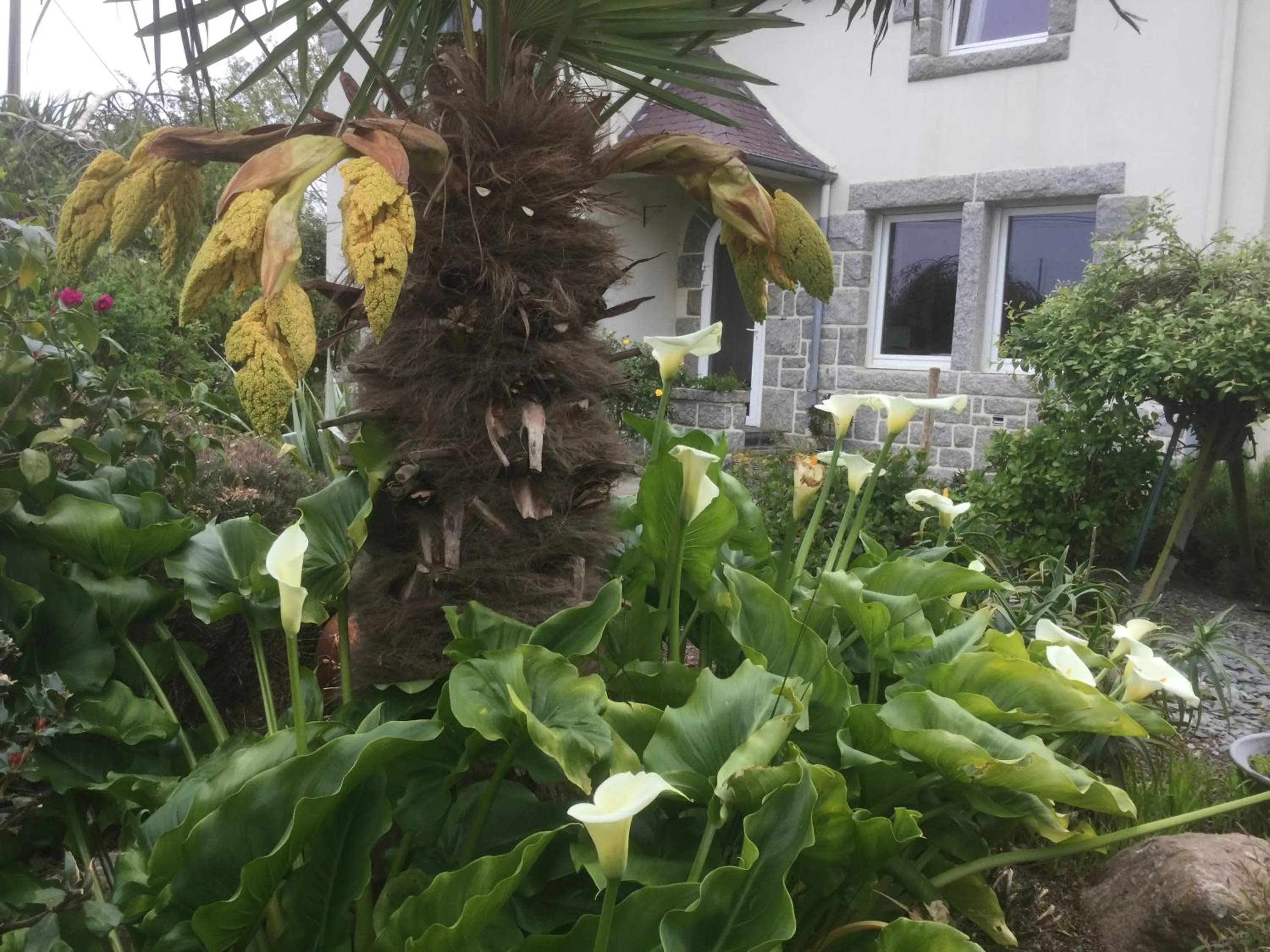 Les Chambres de Kermenguy