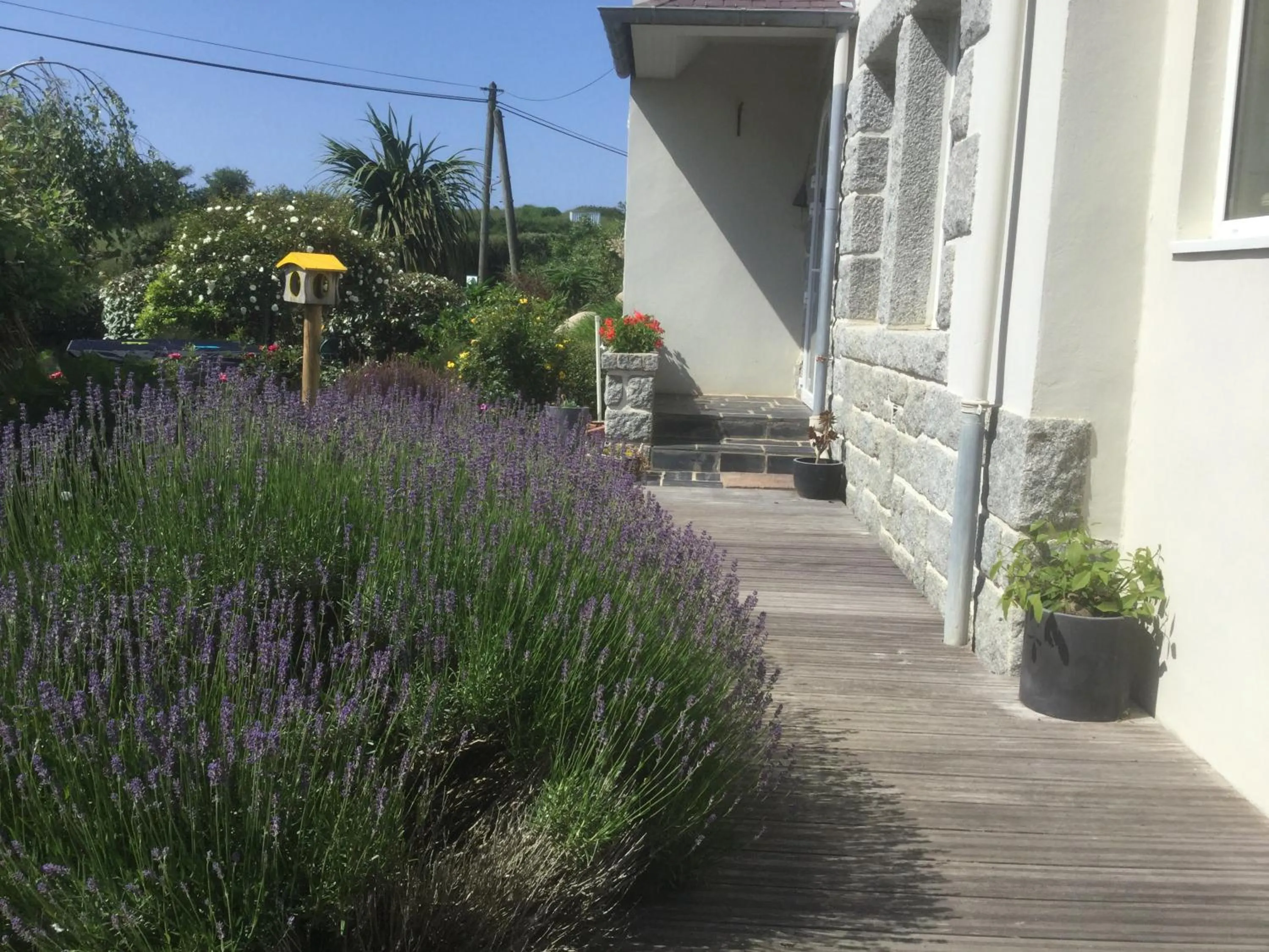 Garden view in Les Chambres de Kermenguy