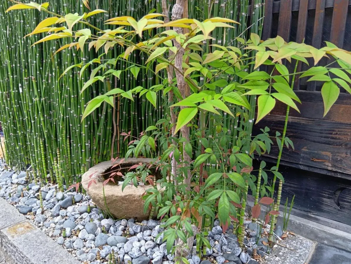 Property building in Wakakusa-An Private Machiya near JR Nijo Station