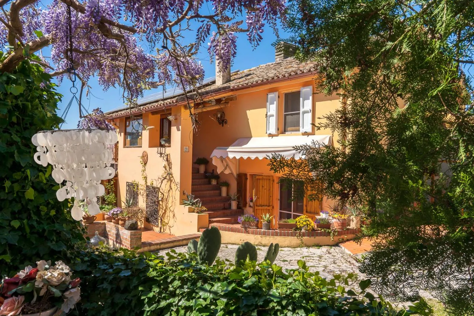 B&B Glicine