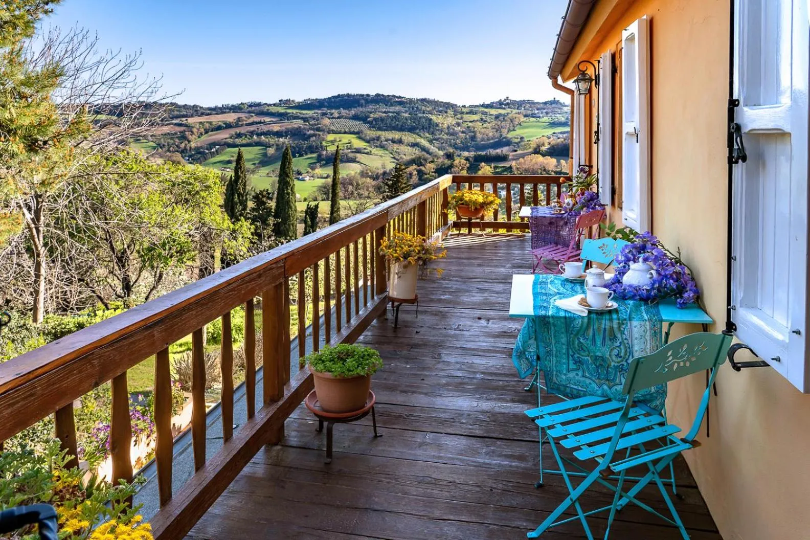 B&B Glicine