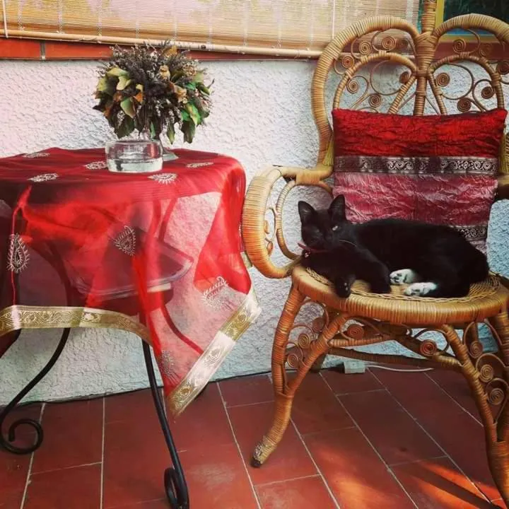 B&B Glicine