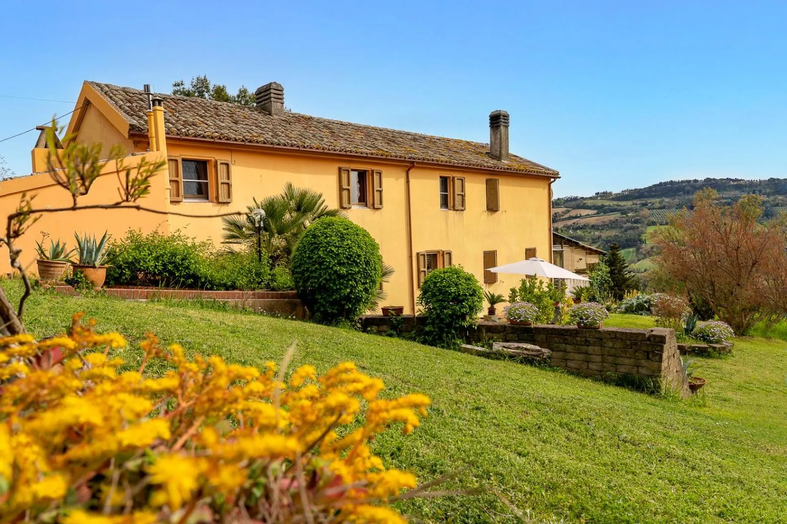 B&B Glicine