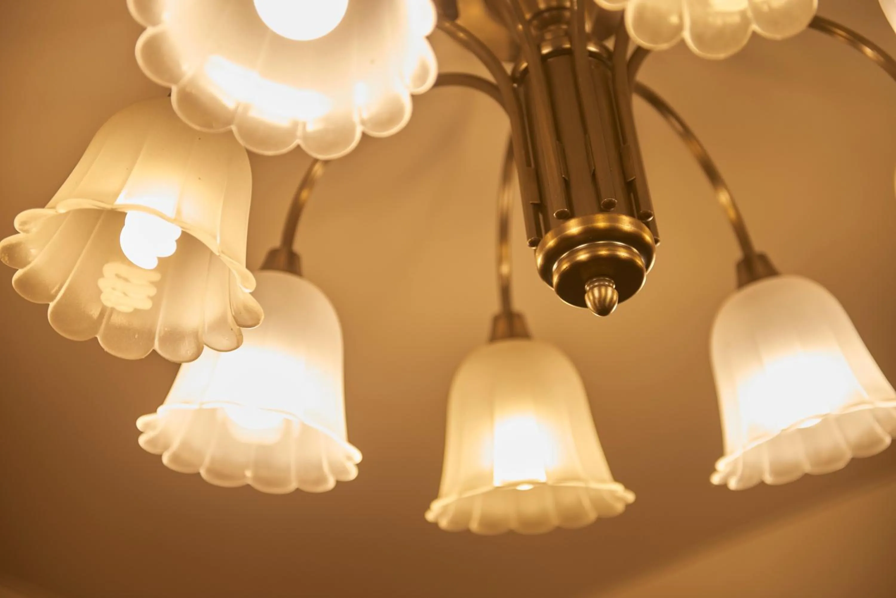 Area and facilities in Select Inn Mishima