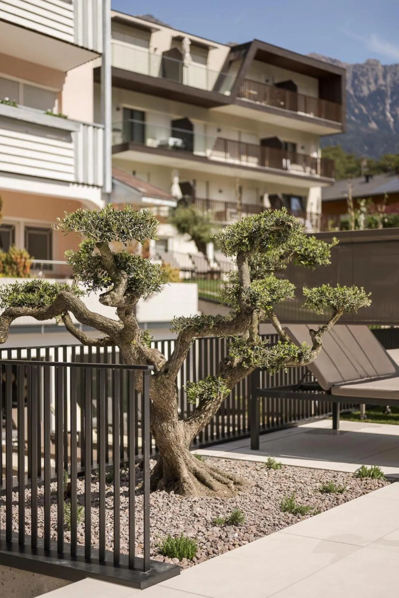 Garden in Heidi & Edith Family Aparthotel