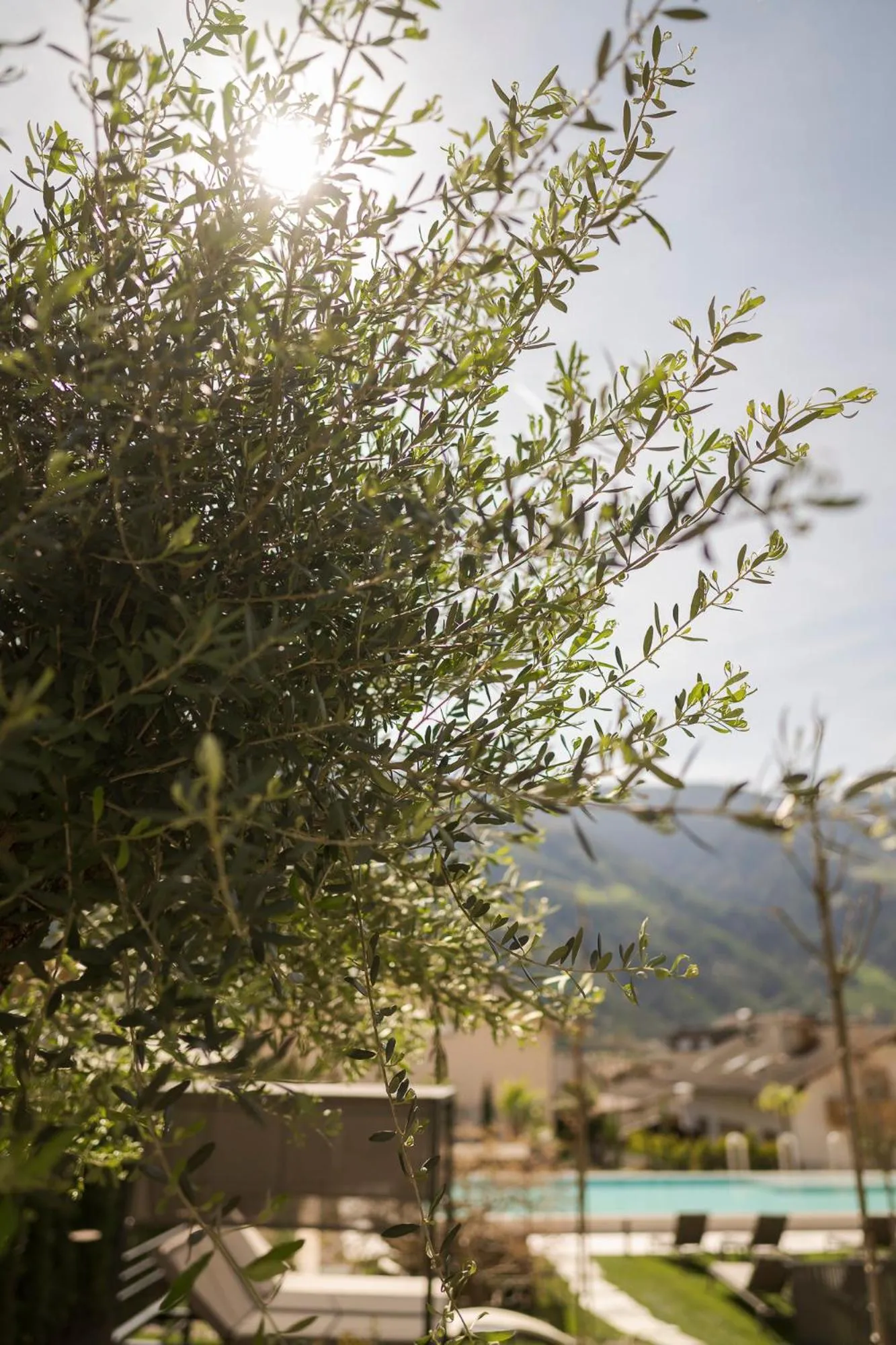 Garden in Heidi & Edith Family Aparthotel