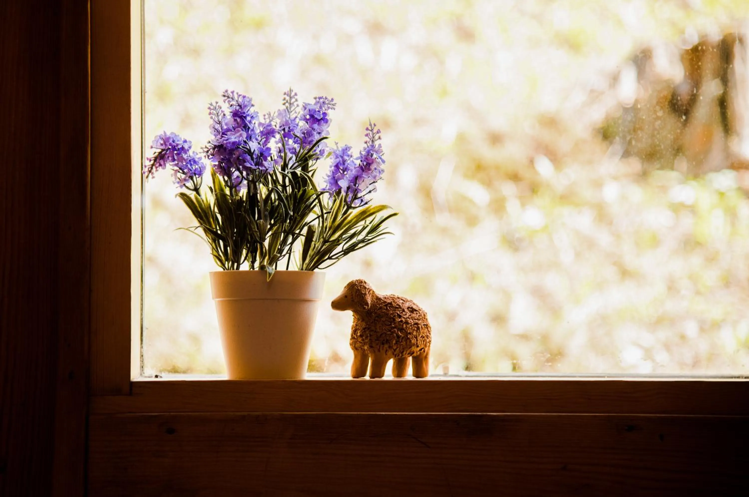 Patio in Külmamäe puhkemaja
