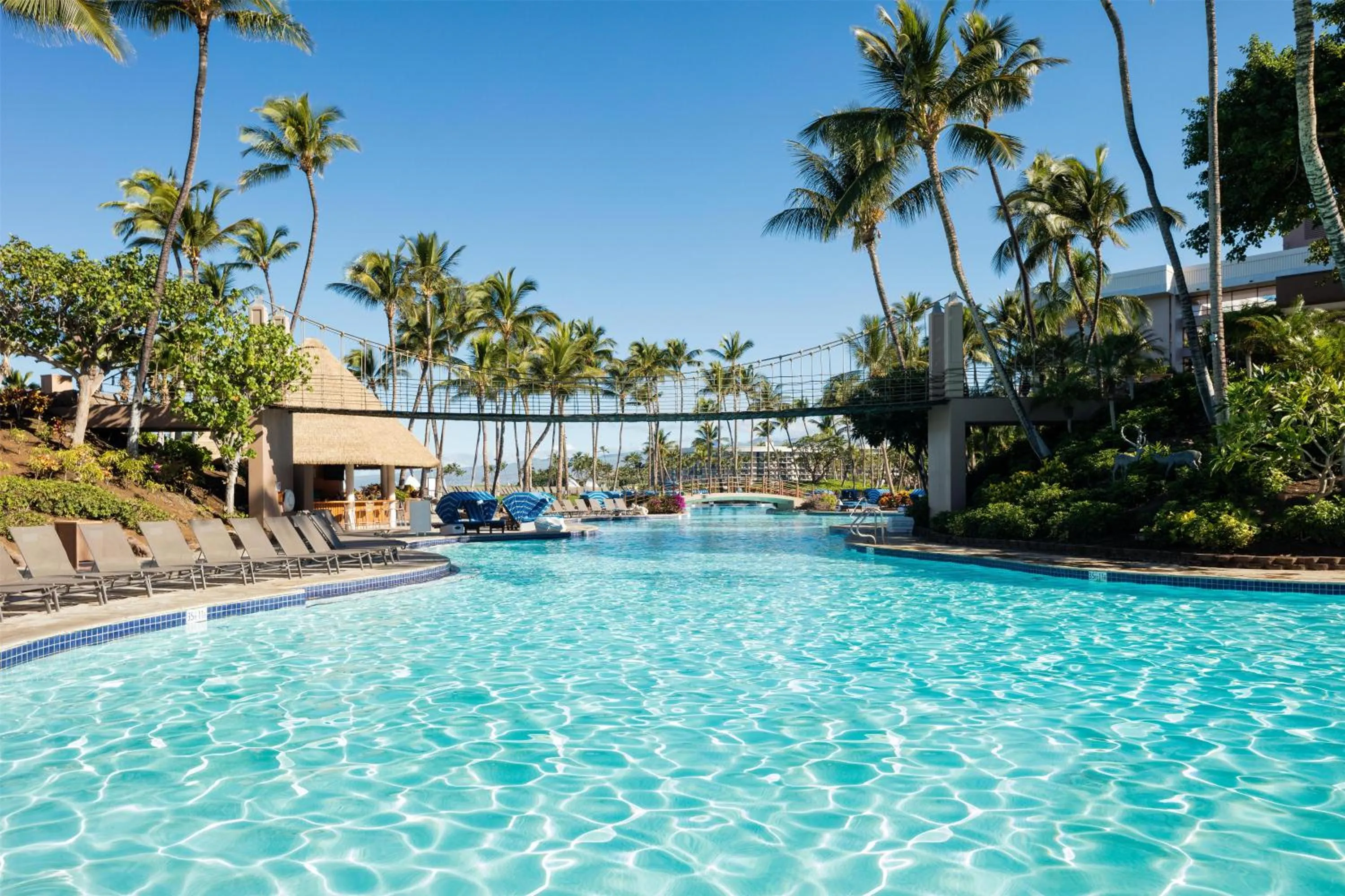 Pool view in Hilton Waikoloa Village