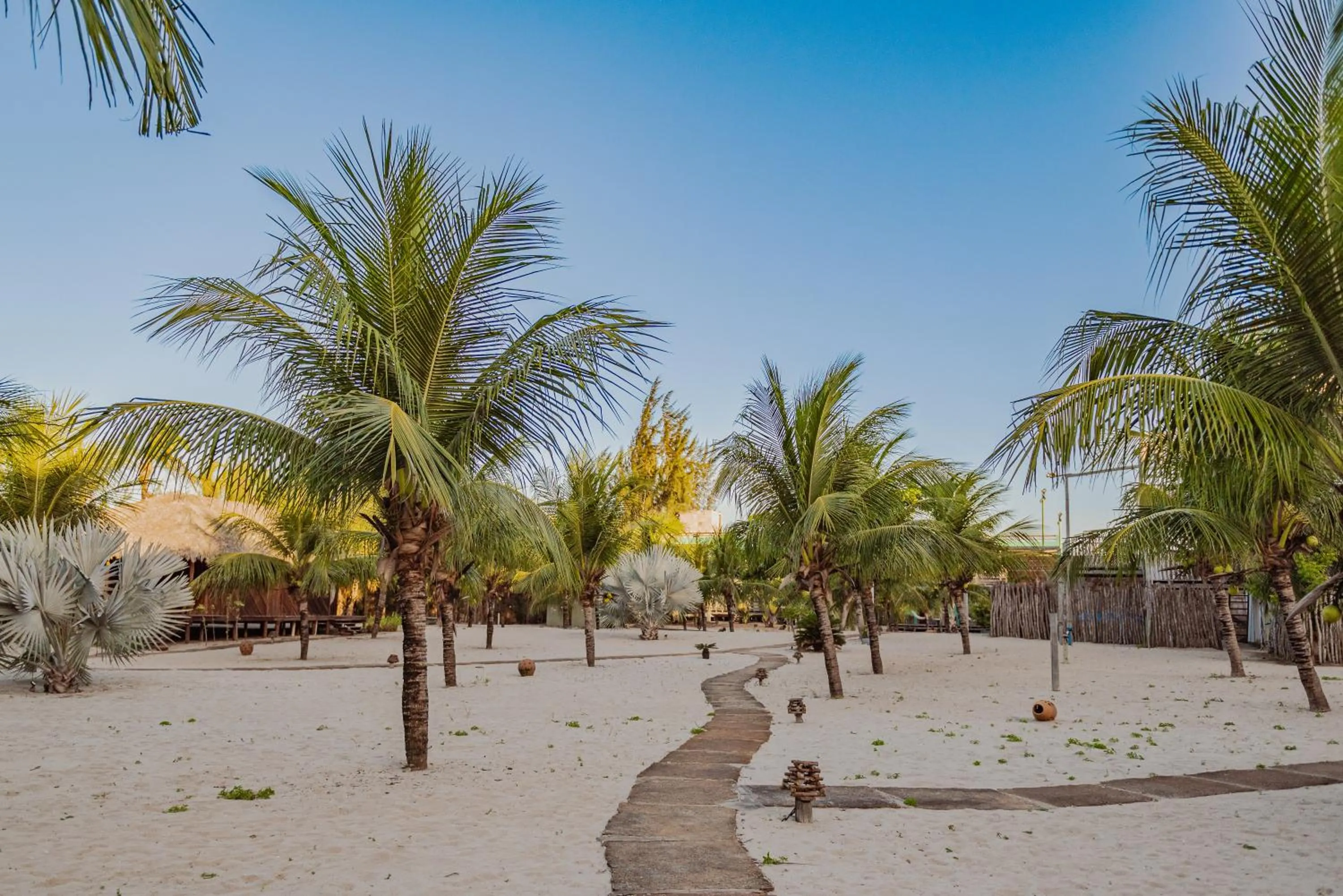 Garden in Ventana Hotel