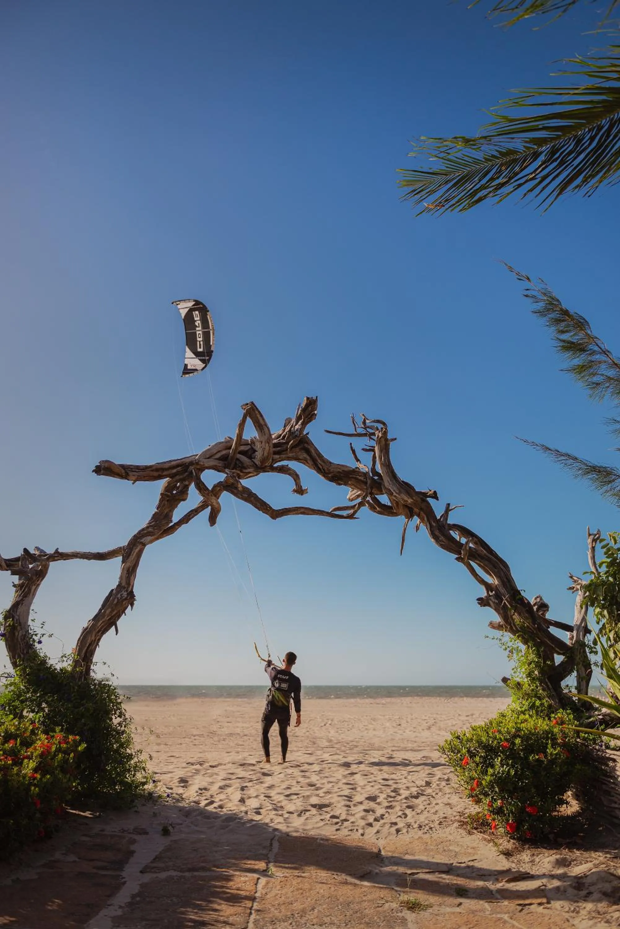 Natural landscape in Ventana Hotel