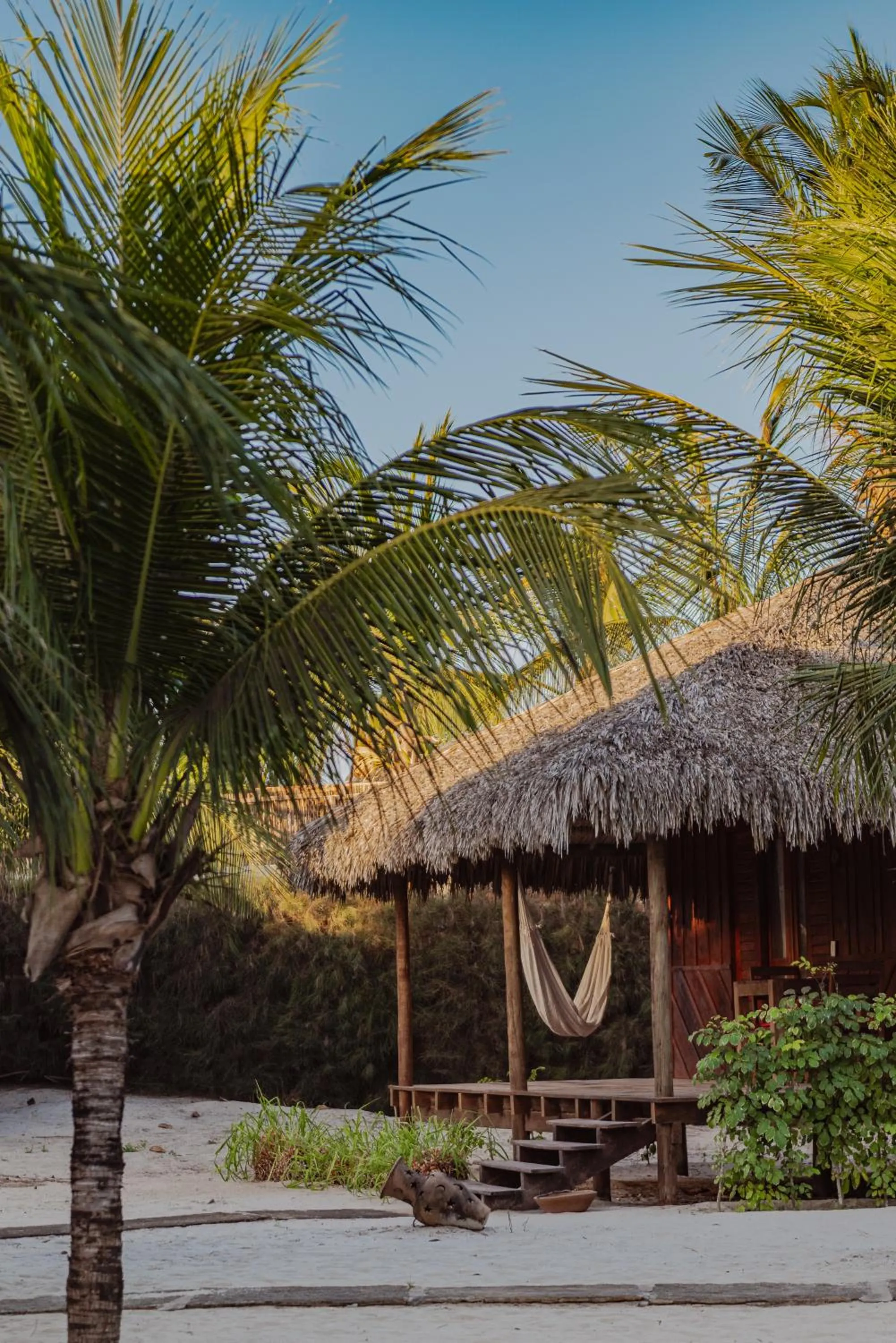 Day in Ventana Hotel