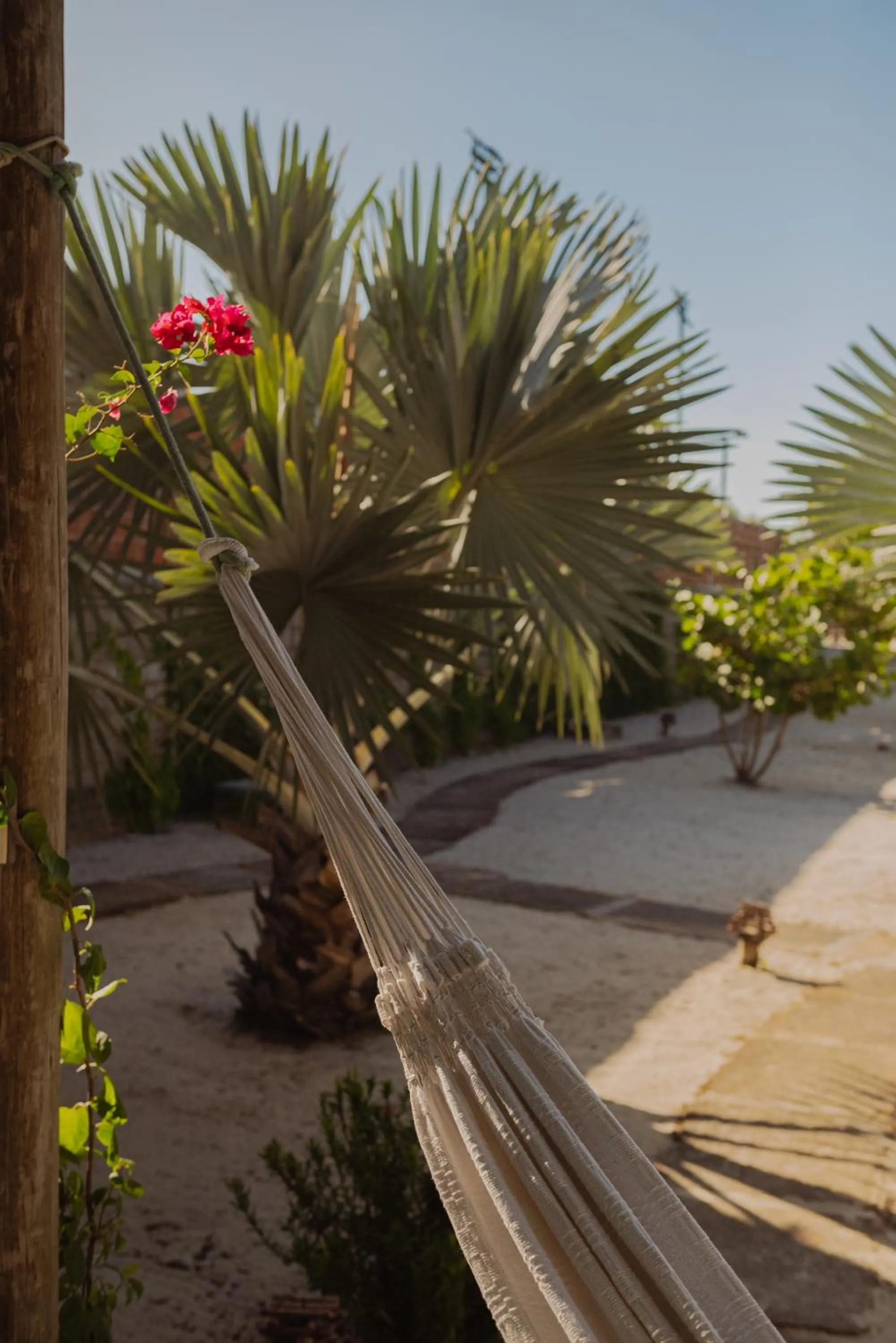Garden in Ventana Hotel
