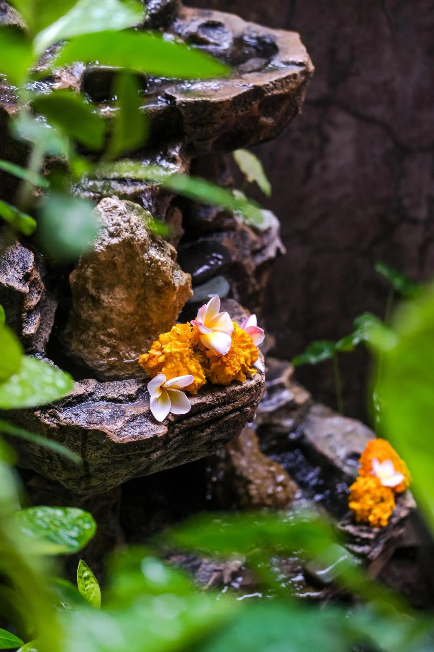 Spa and wellness centre/facilities in The Elementum