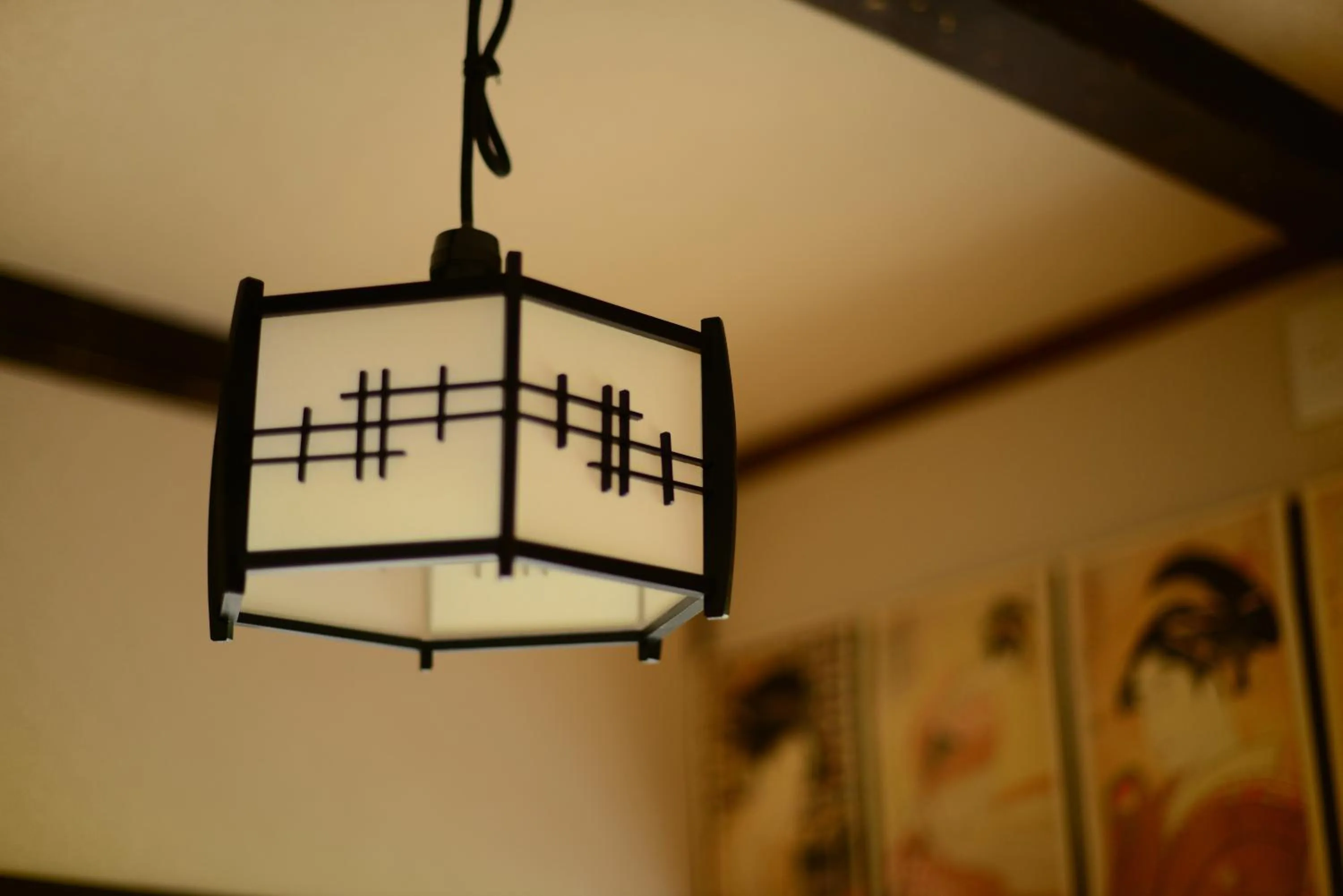 Other in Nishioji TANUKI 西大路 狸