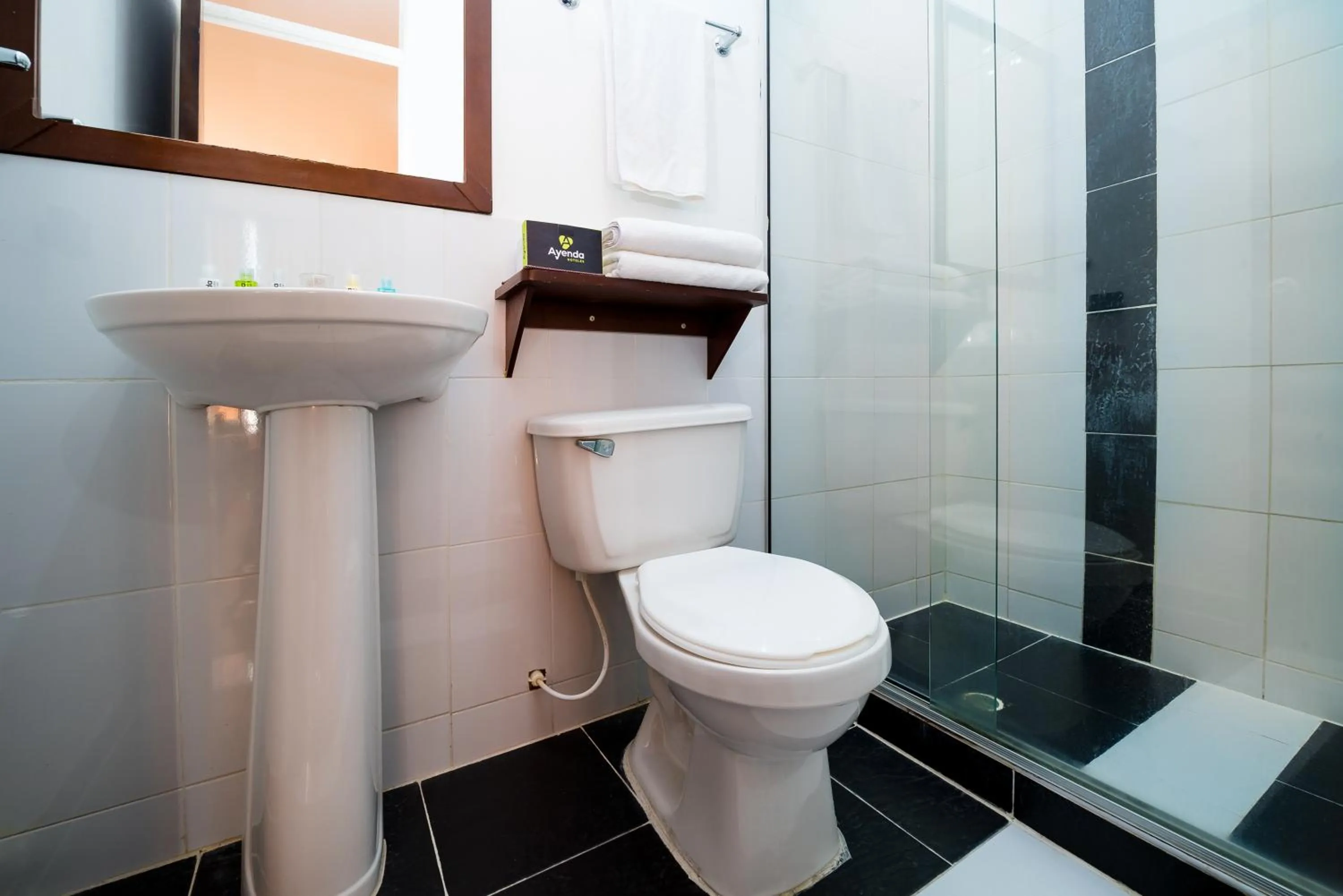 Shower in Ayenda 1703 Gran Reserva