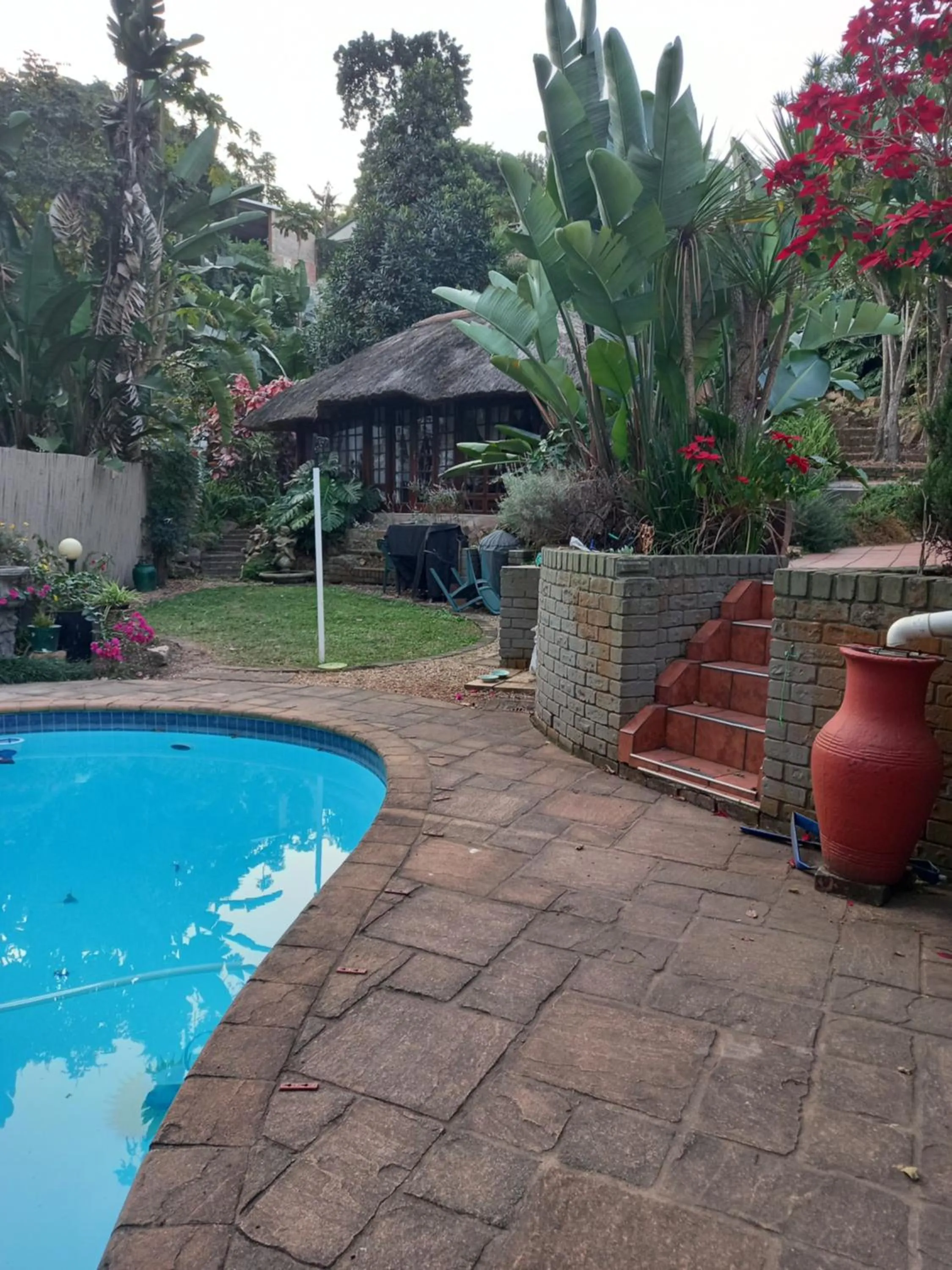 Garden view in Thrush Nest Durban