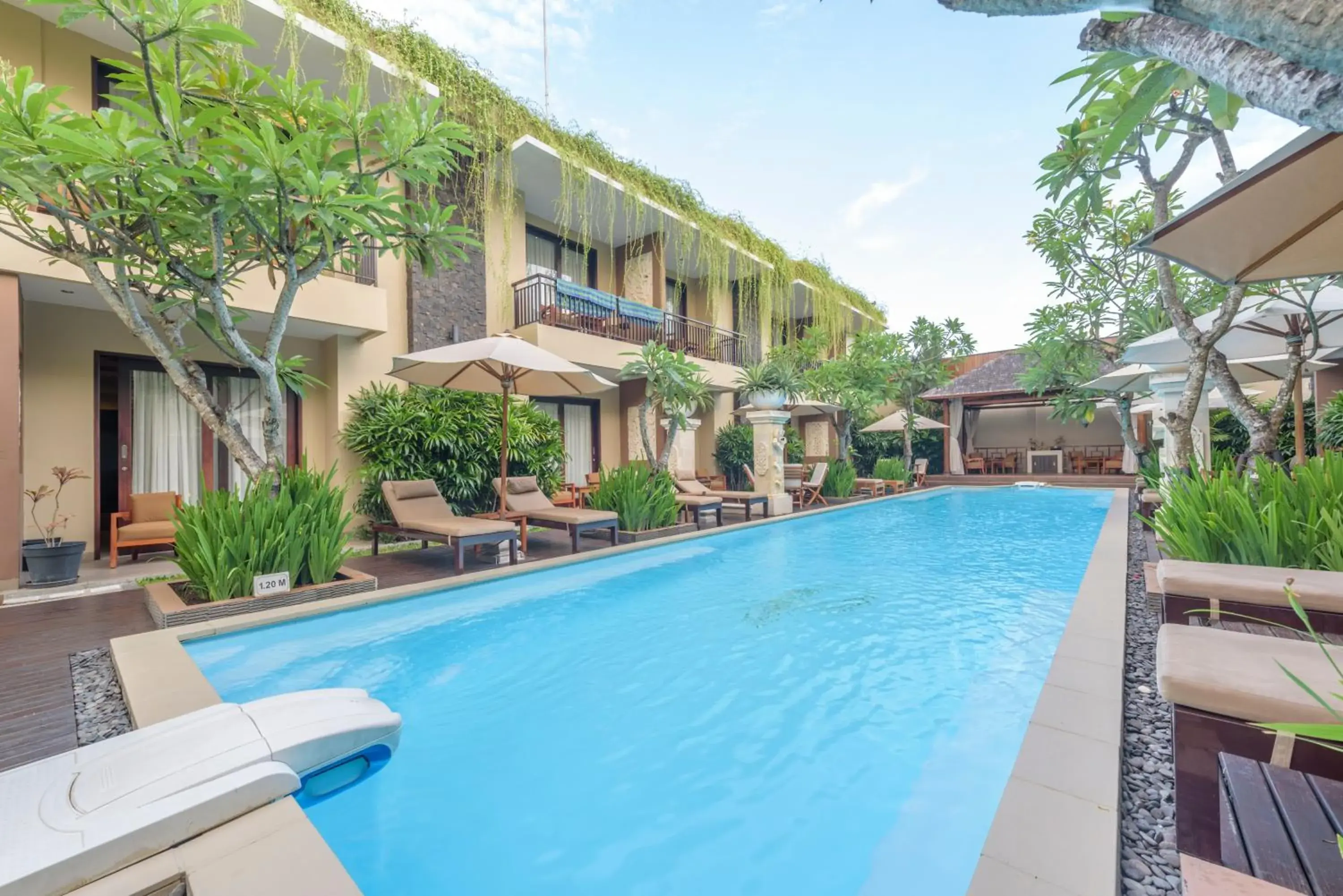 Pool view in d'Penjor Seminyak Pool view in d'Penjor Seminyak