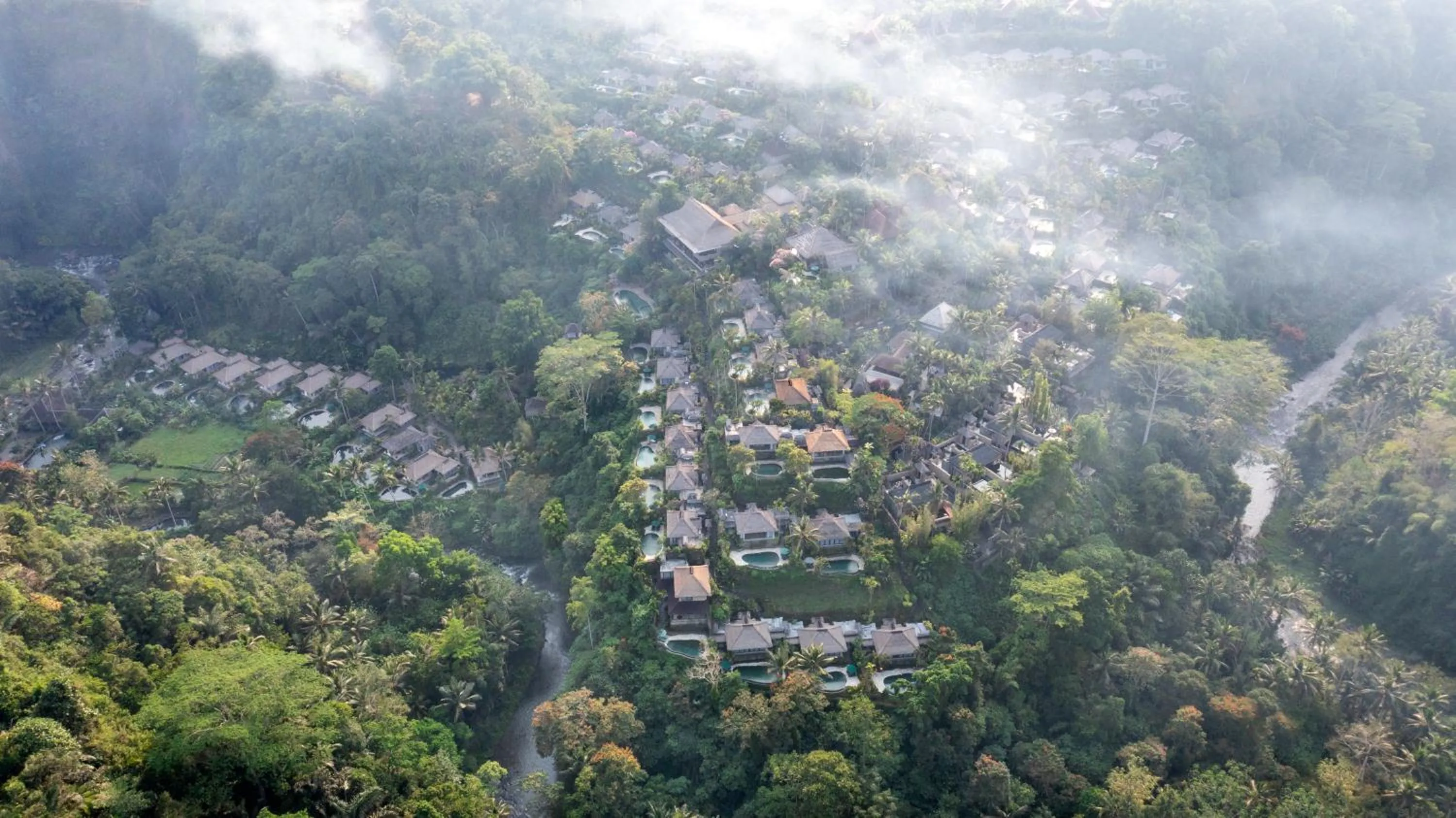 Day in The Royal Pita Maha