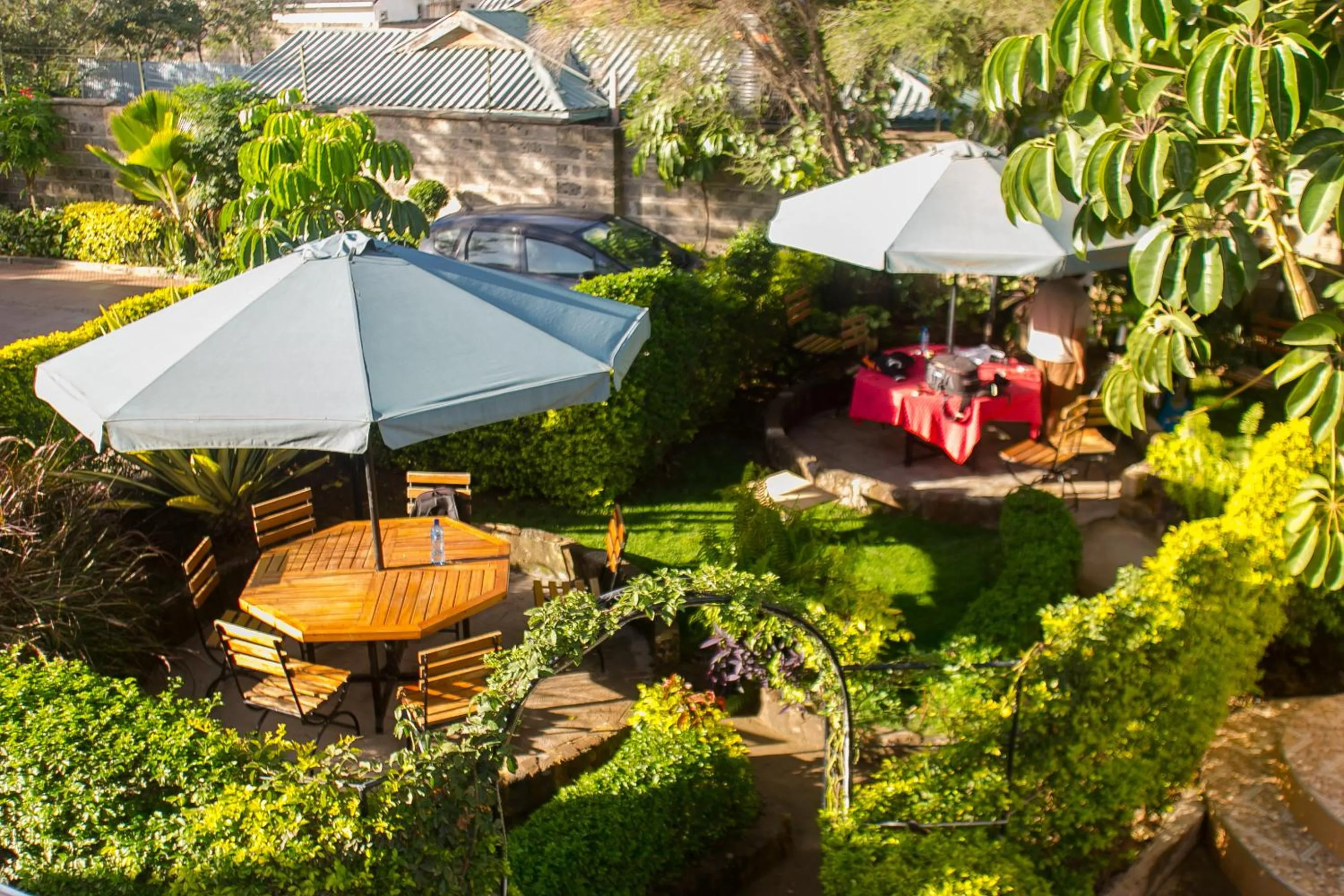 Garden view in Zarita Boutique Hotel