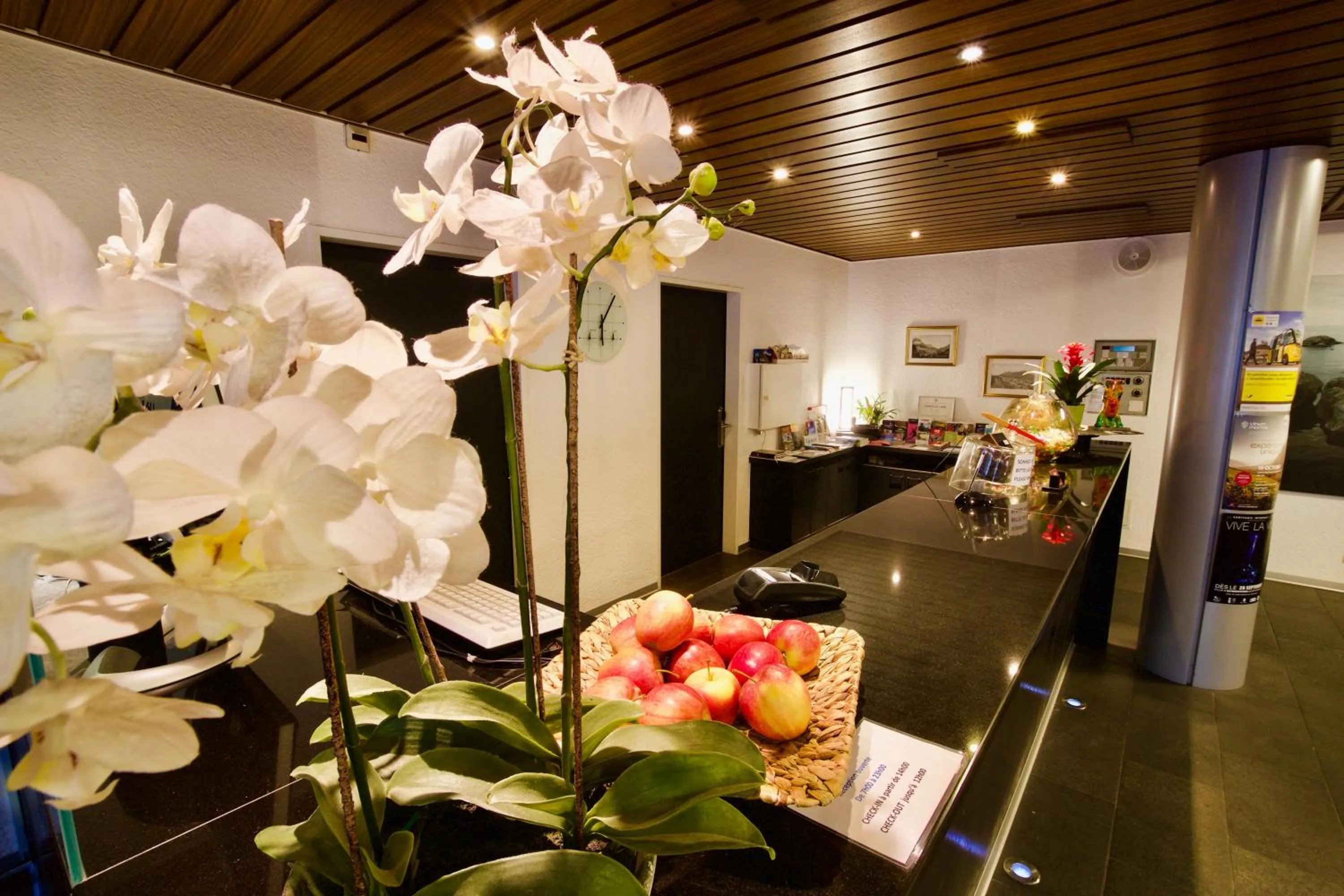 Lobby or reception in Hôtel du Rhône