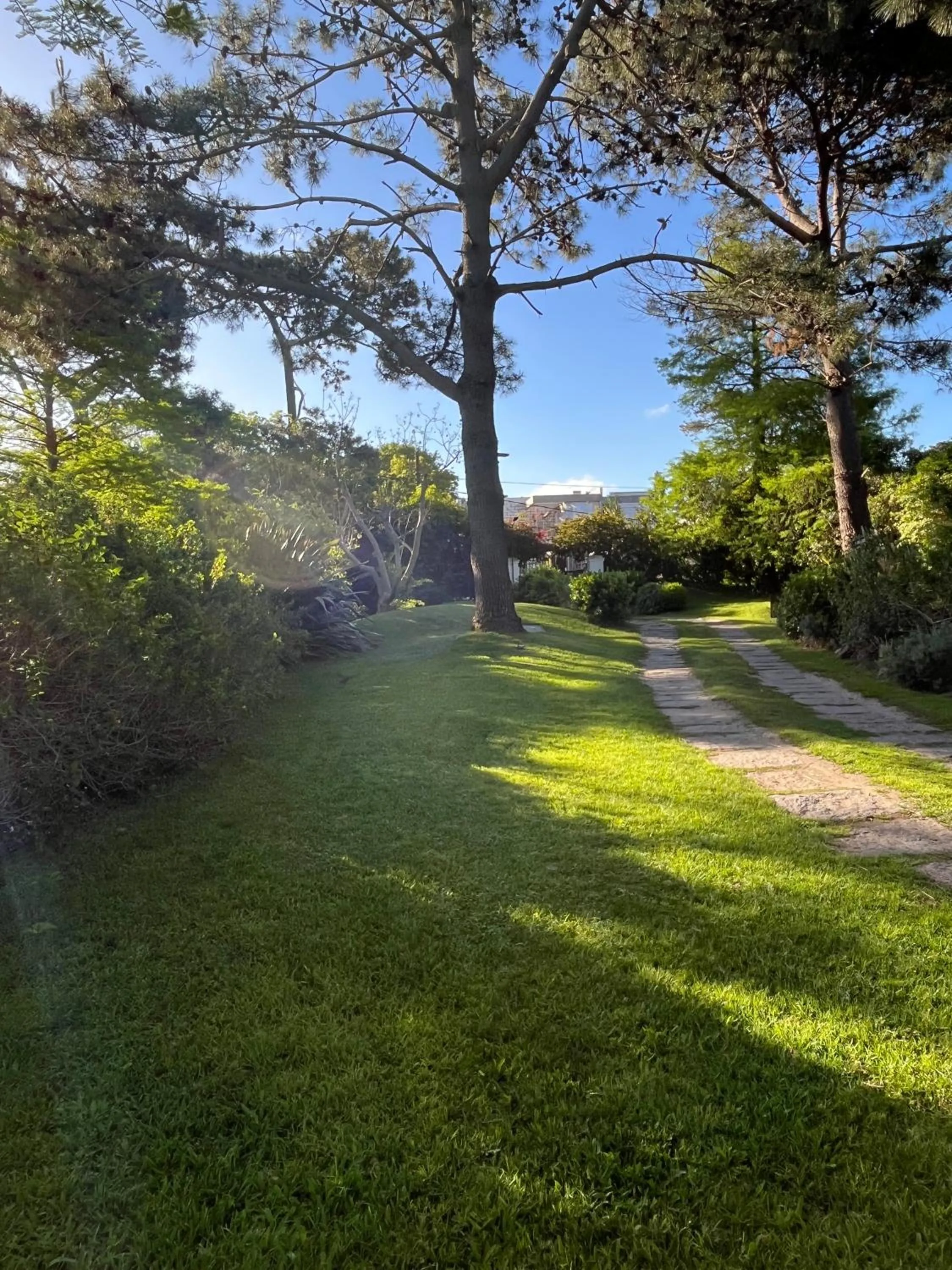 Lobby or reception in Arsamici Hotel