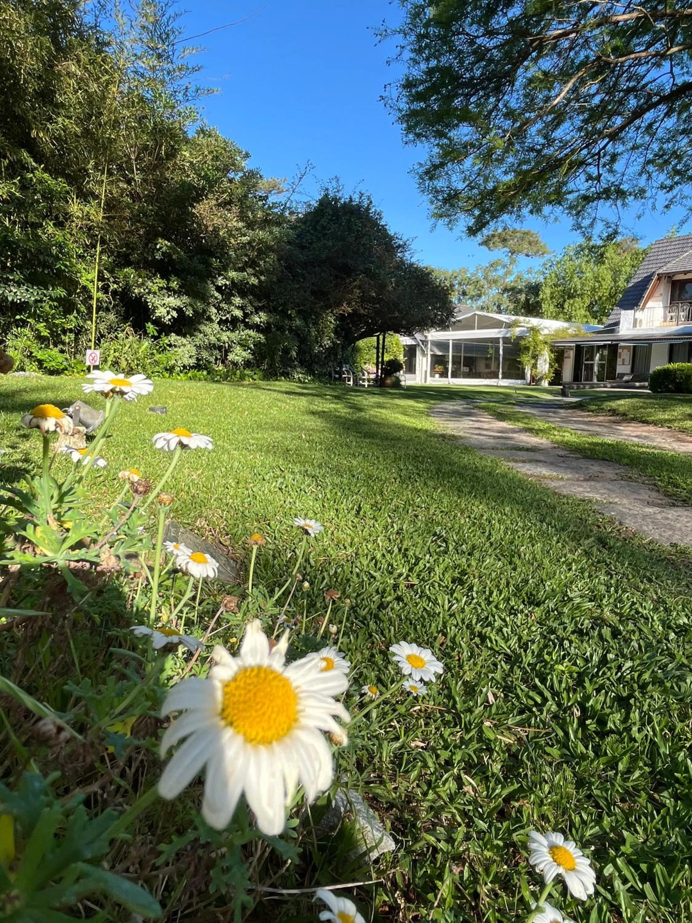 Garden in Arsamici Hotel
