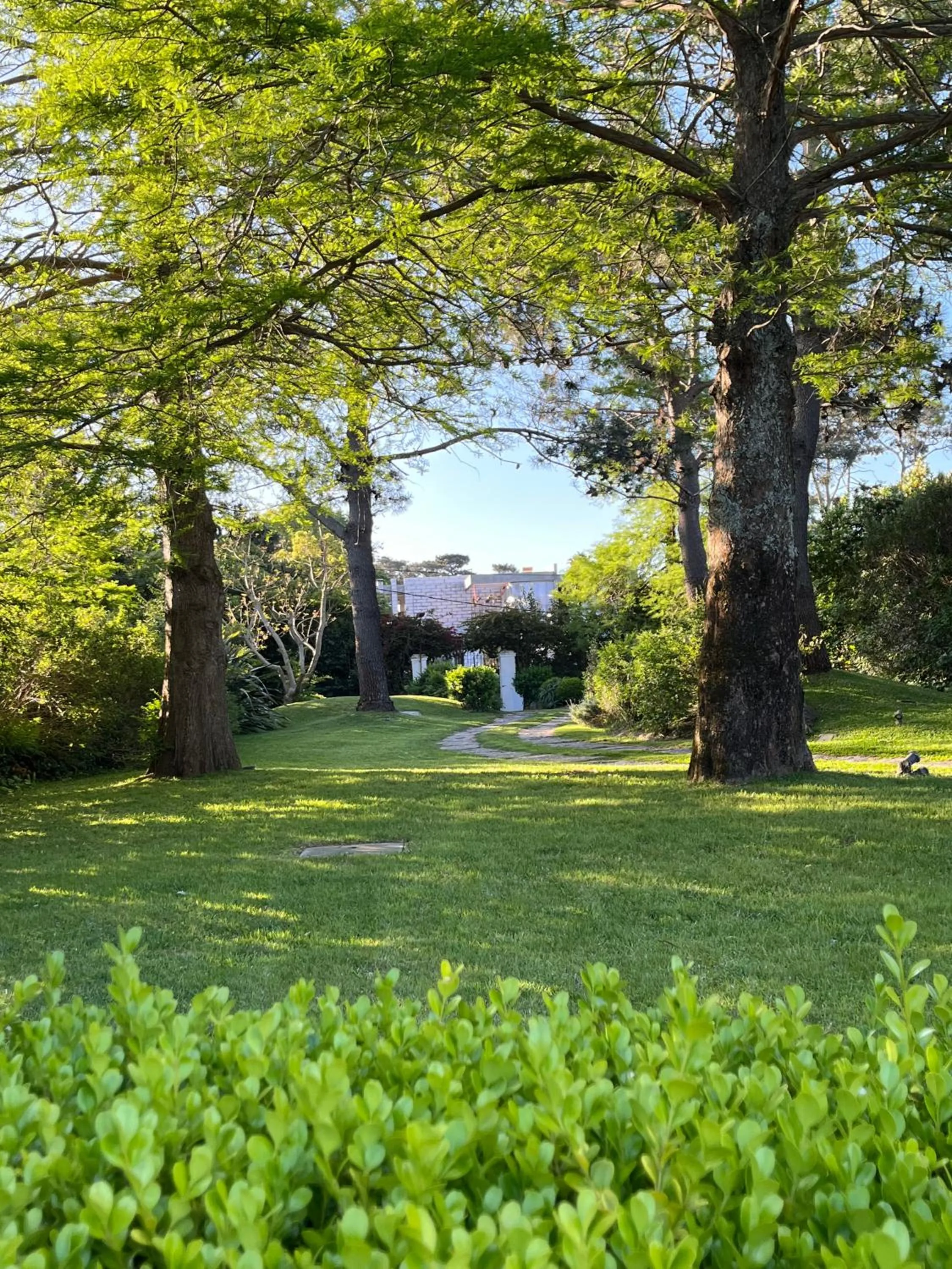 Garden in Arsamici Hotel