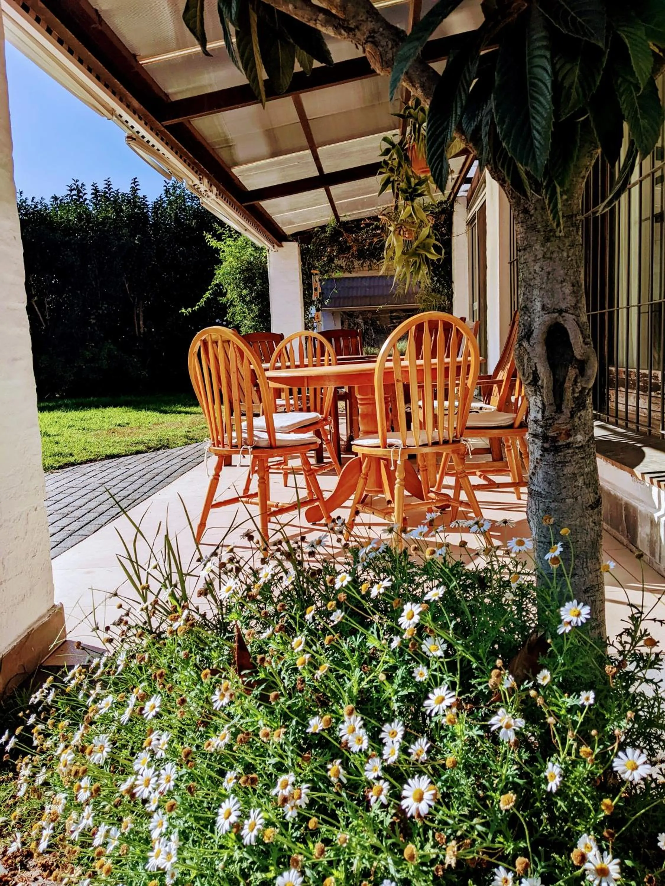 Garden in Arsamici Hotel