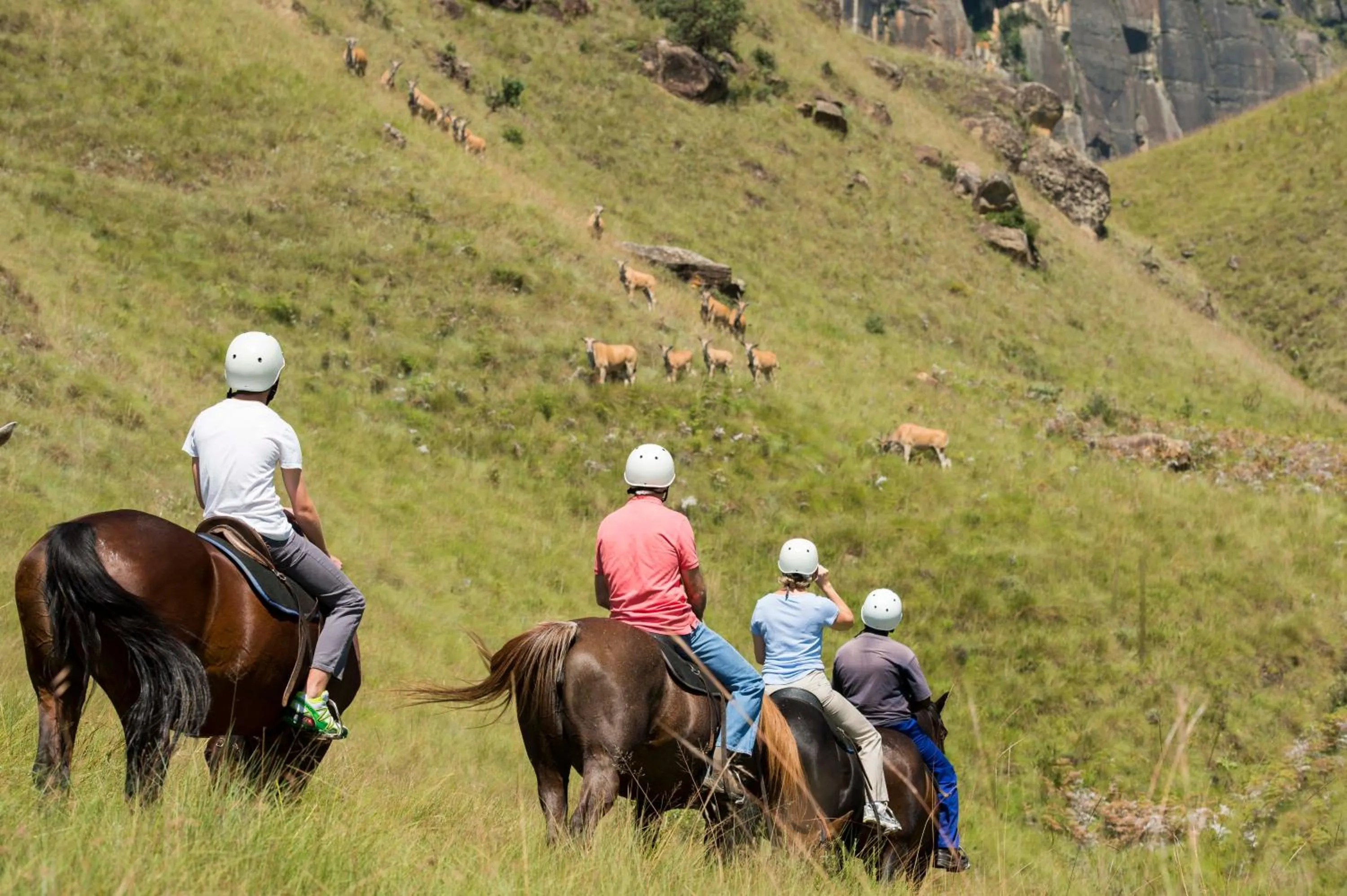 Horse-riding in Cathedral Peak Hotel