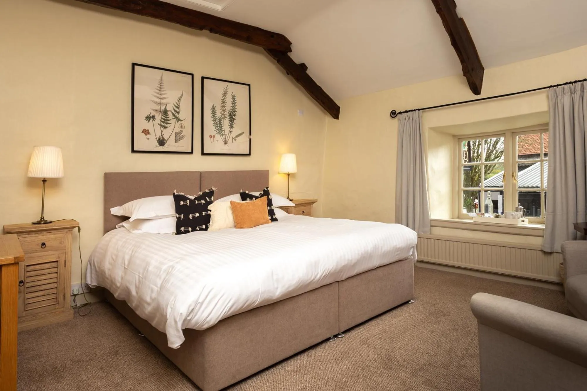 Large Double or Twin Room - single occupancy in Castle Inn