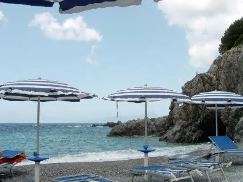 Area and facilities in Hotel Martino