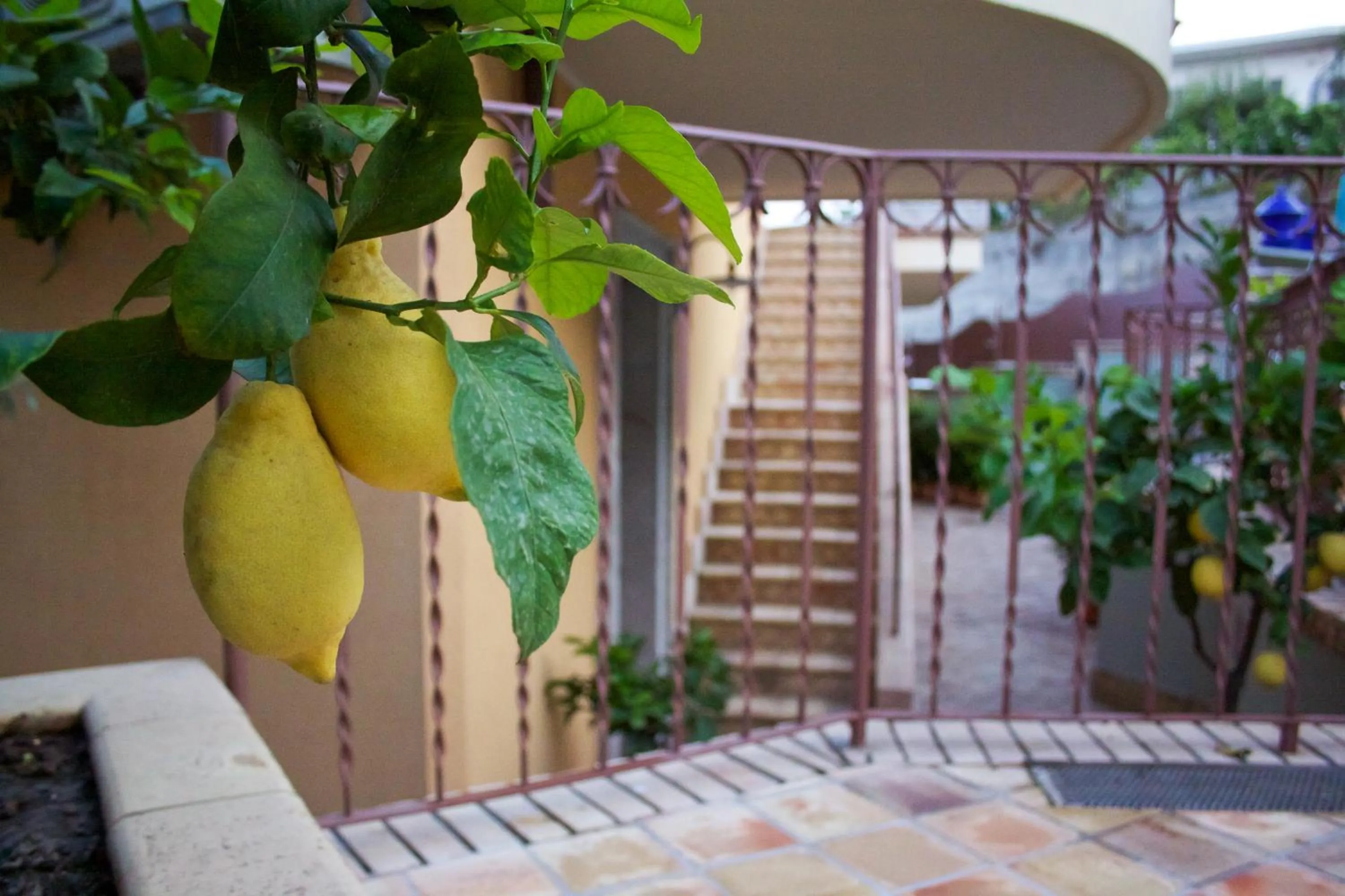 Garden view in Villa Cristina